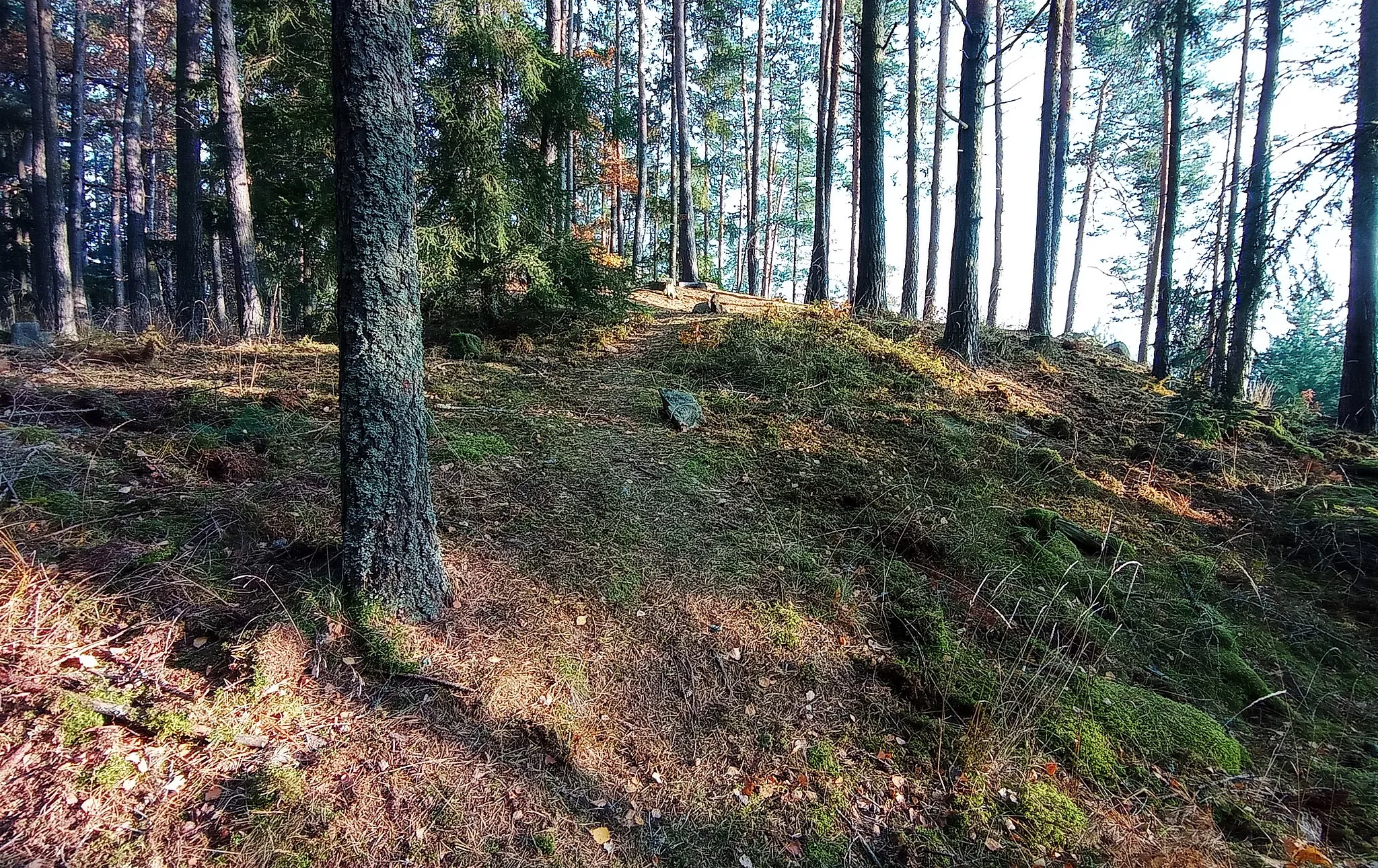 Photo showing: Raziberg, a hill with a hillfort near Boletice in South Bohemia, Czechia
