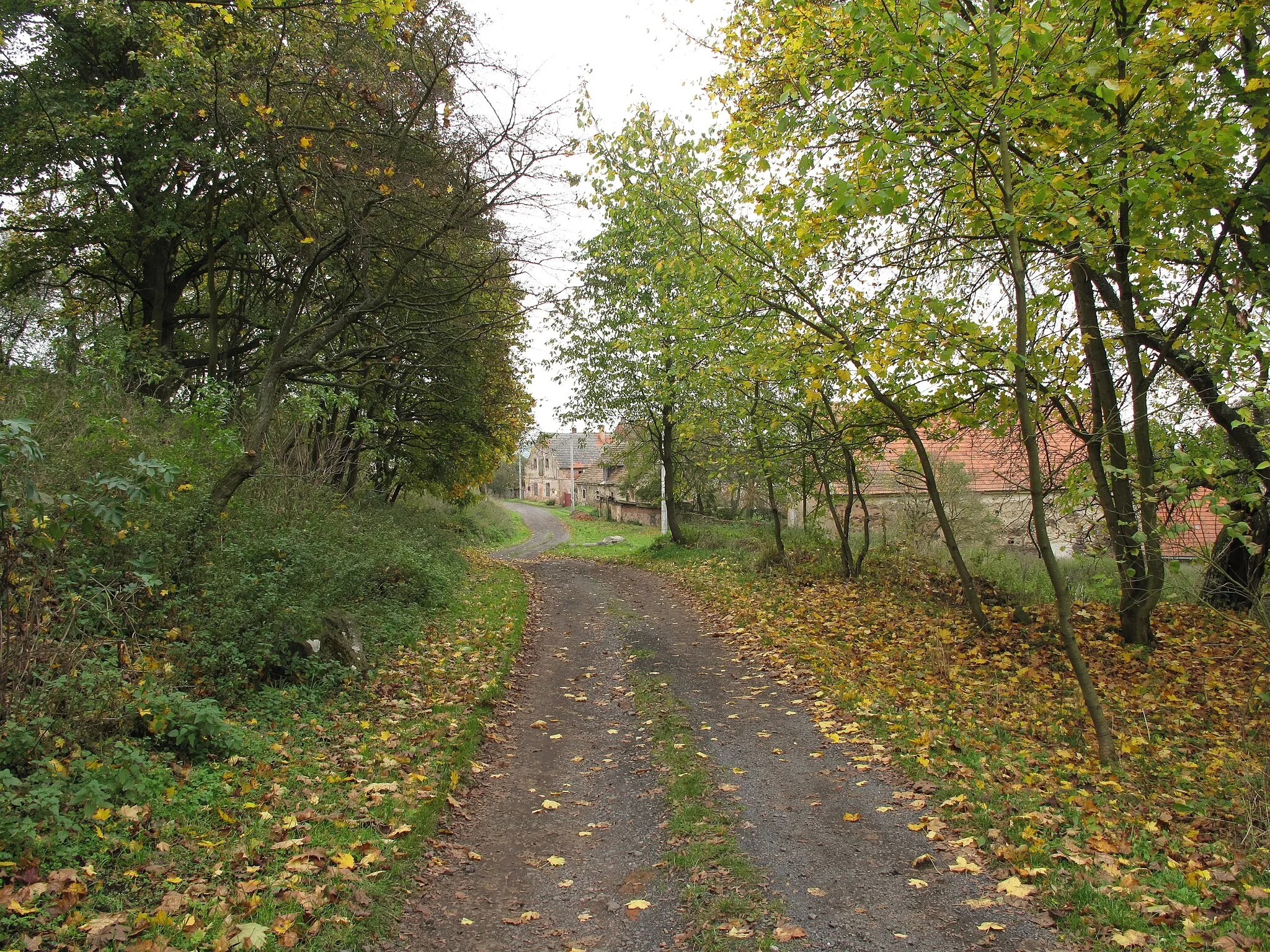 Photo showing: Wayin Vladořice. Karlovy Vary District, Czech Republic.