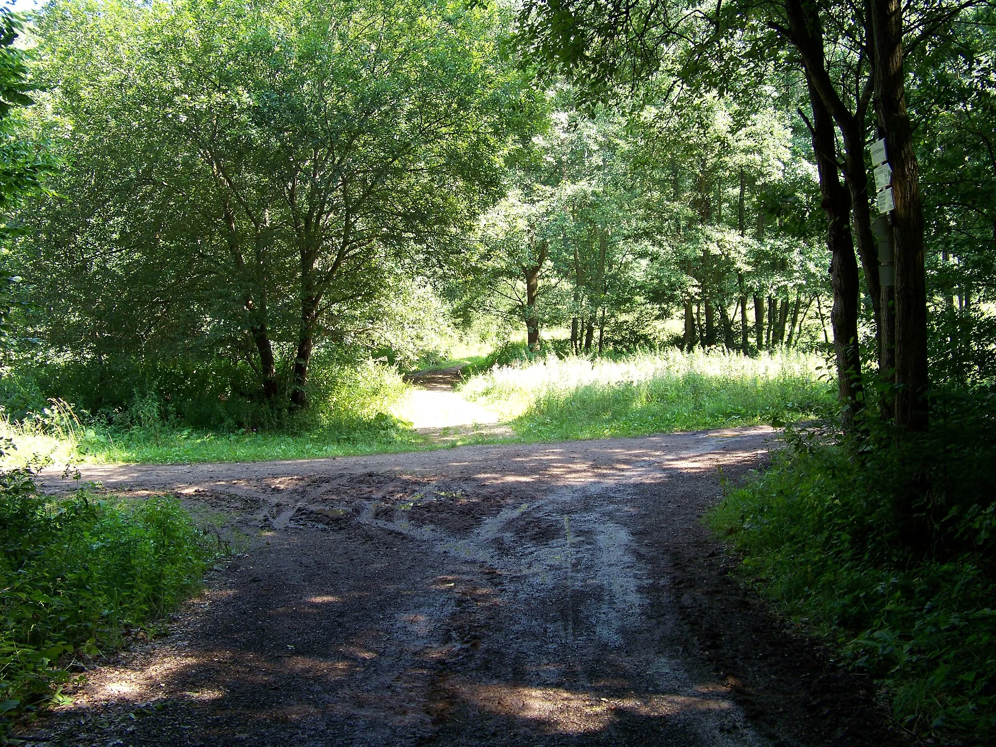 Photo showing: cadastral areas of Hředle u Zdic Knížkovice and Černín u Zdic, Beroun District, Central Bohemian Region, the Czech Republic. V potocích crossroad.