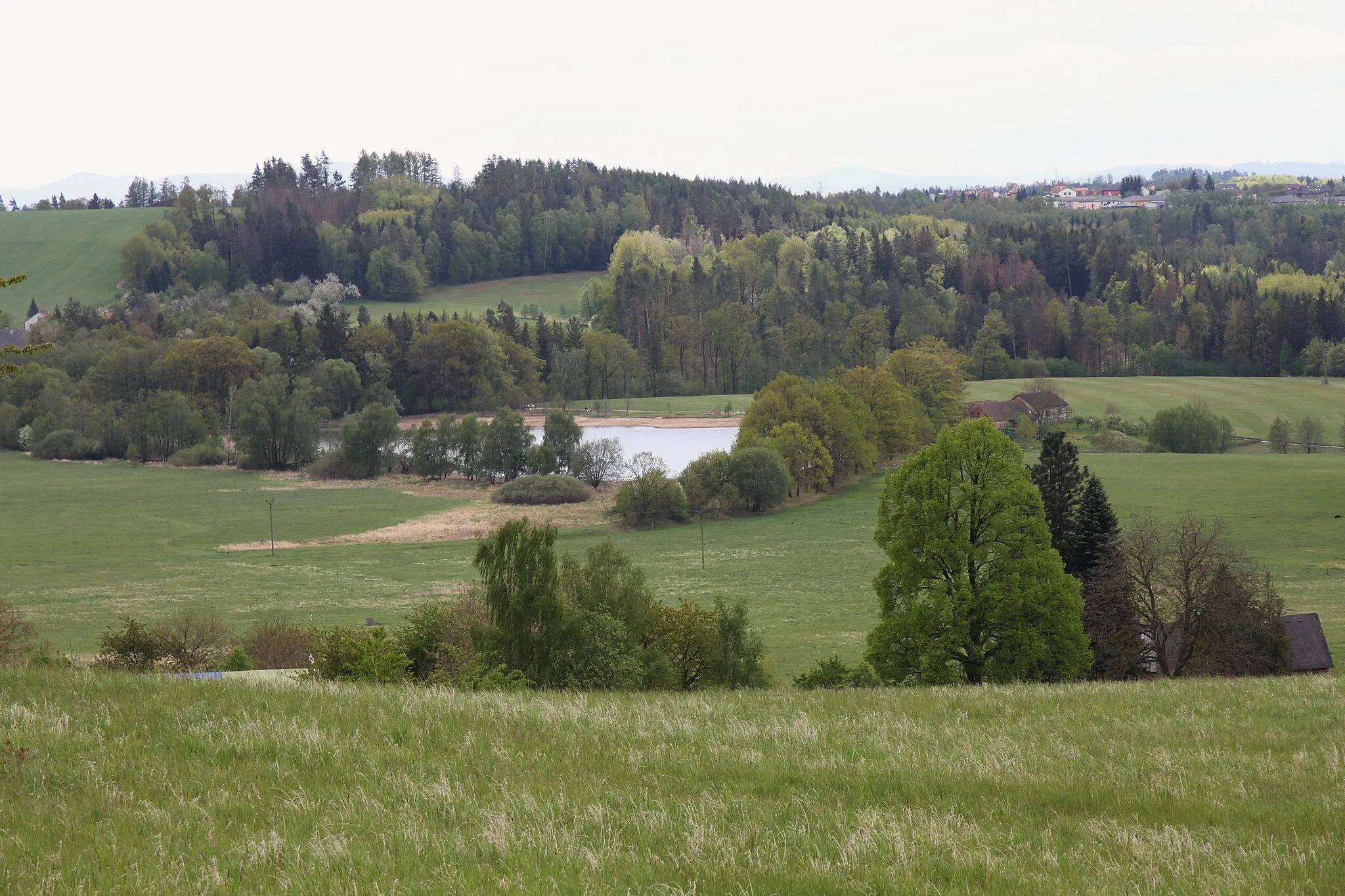 Photo showing: Lusný pond near the village of Dubičné, České Budějovice District, South Bohemian Region, Czechia.