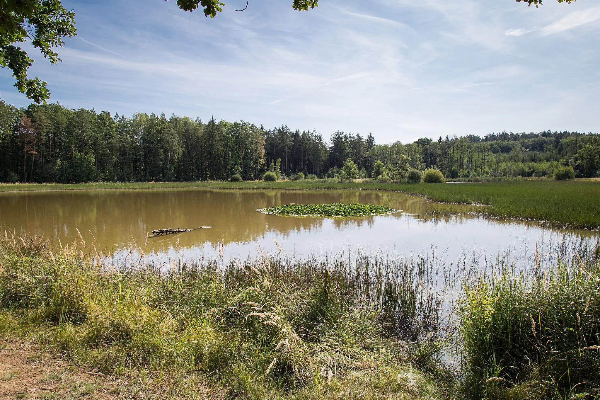 Photo showing: Dolní kokotský rybník