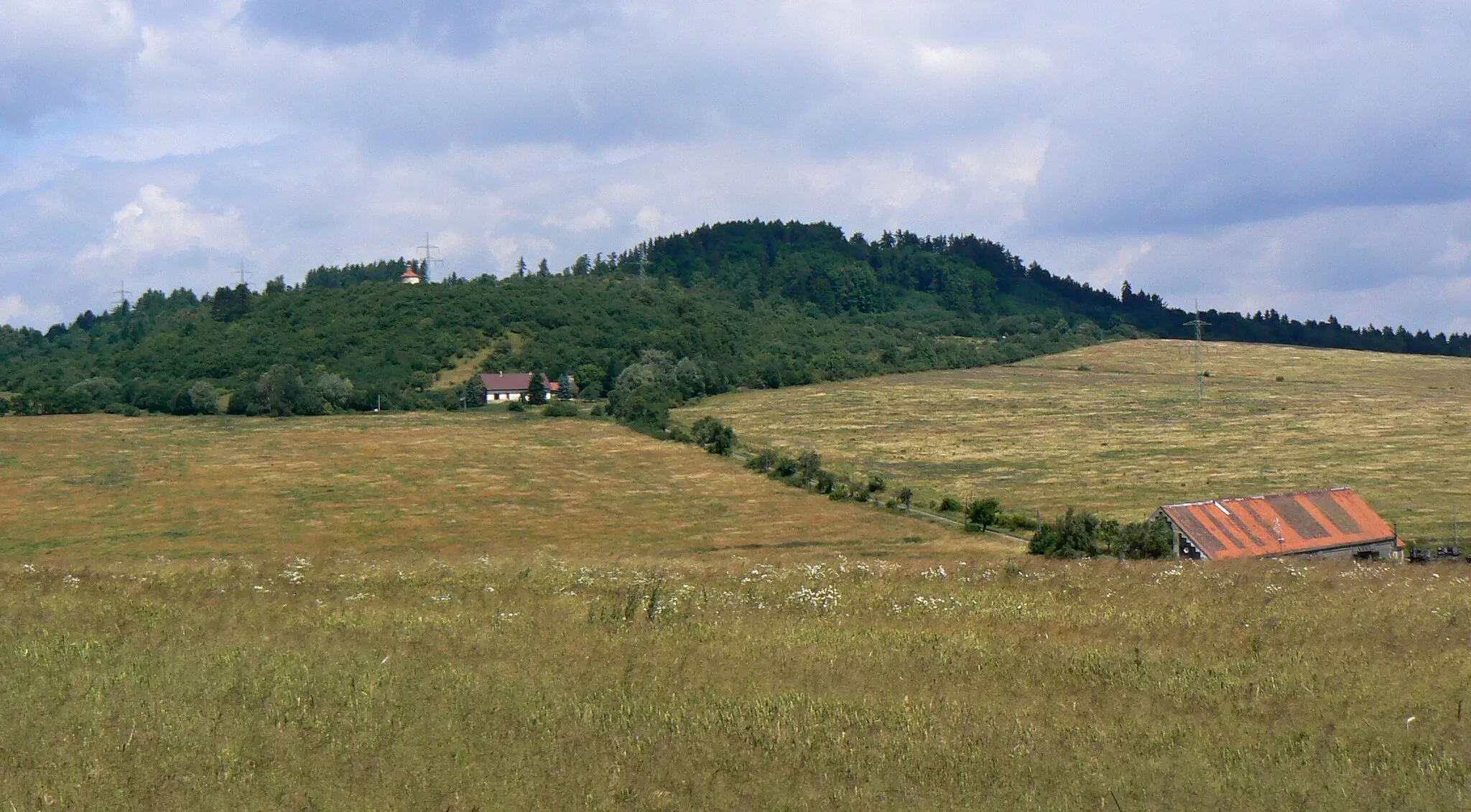 Photo showing: Ovčí vrch (697 m) near Kokašice in Tachov District