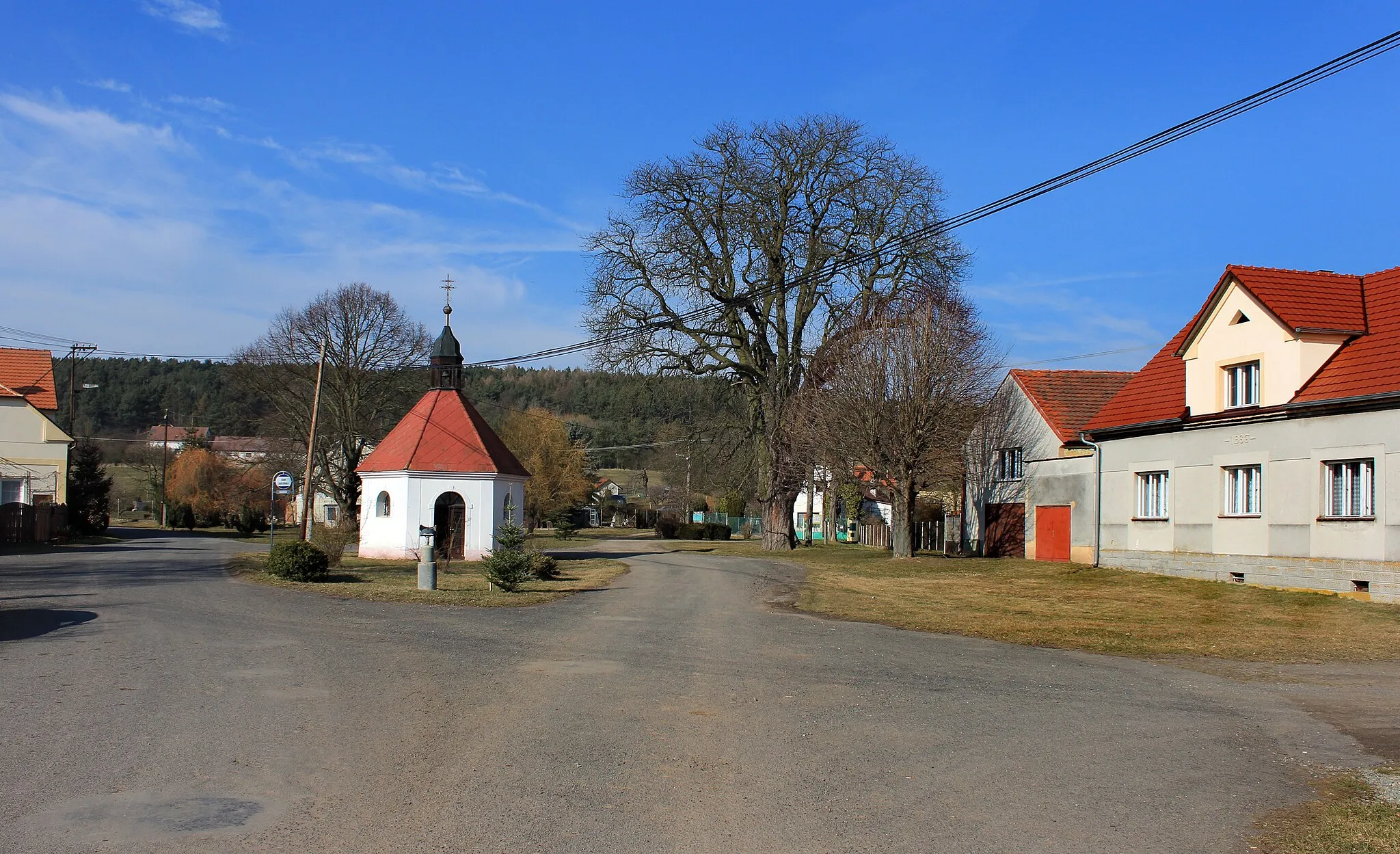 Photo showing: Common in Kbelany, Czech Republic.