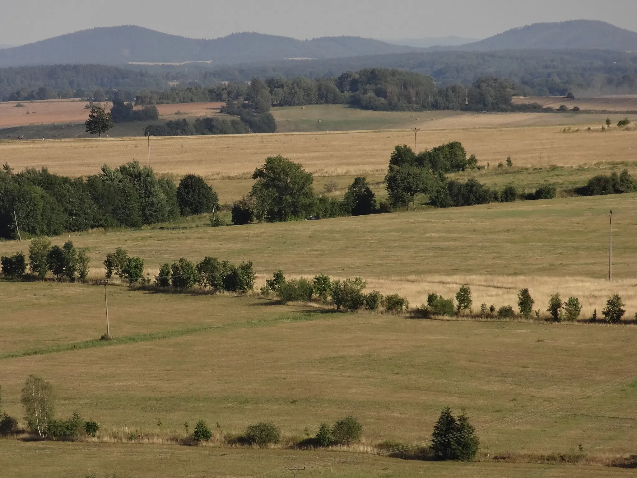 Photo showing: Tachovsko z rozhledny Vysoká nad Tachovem, pohled jihovýchodním směrem do okolí Stráže (přírodní park Valcha, vrchy Homole a Výhled)