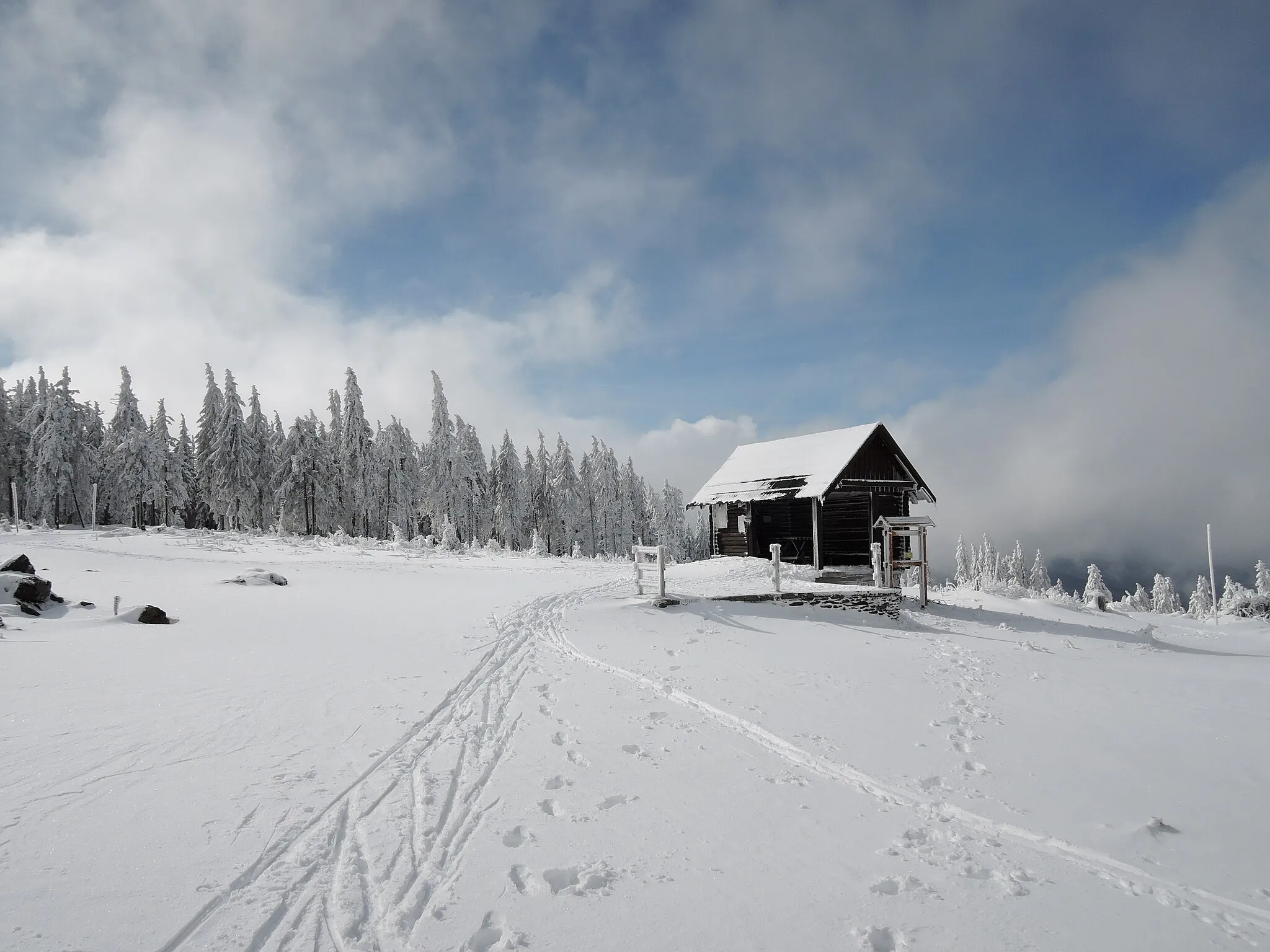 Photo showing: Šumava, Železnorudská hornatina, vrchol Můstek