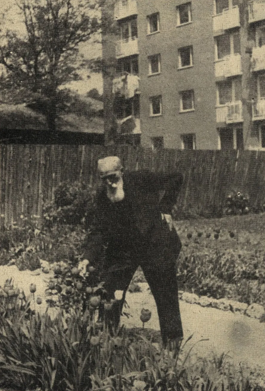 Photo showing: Avgust Bukovec stoji na vrtu ob tulipanih. 1962.