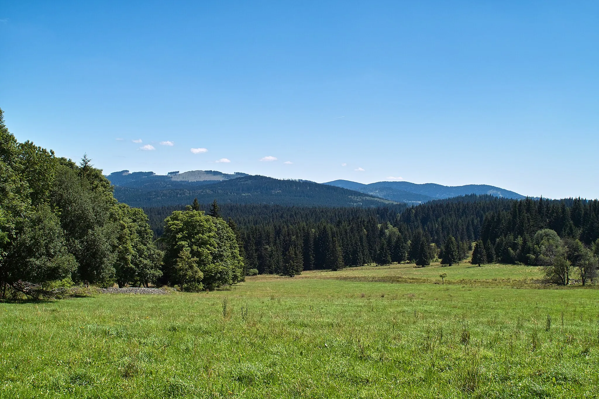 Photo showing: NPP Prameniště Blanice z Horní Sněžné