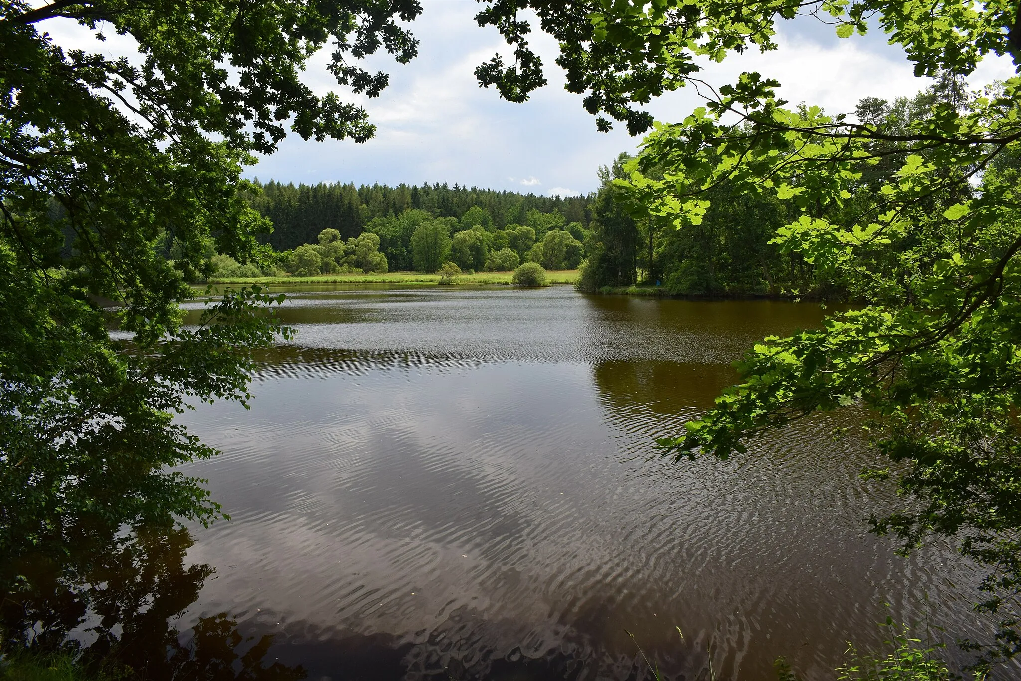 Photo showing: Pohled na Zevlův rybník z pěšiny vedoucí po severním břehu rybníka