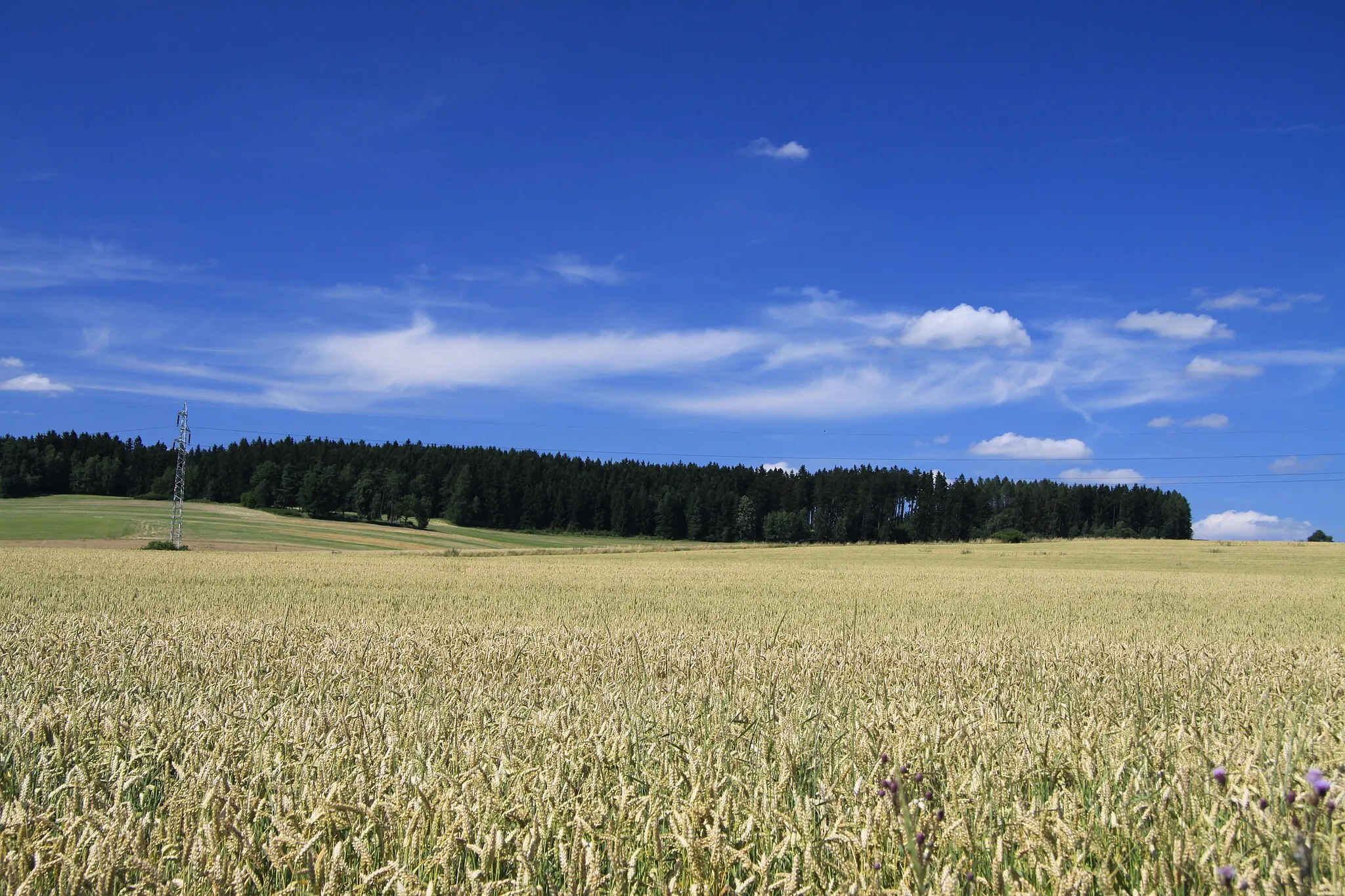 Photo showing: Nature park Polánka in Tábor District, Czech Republic