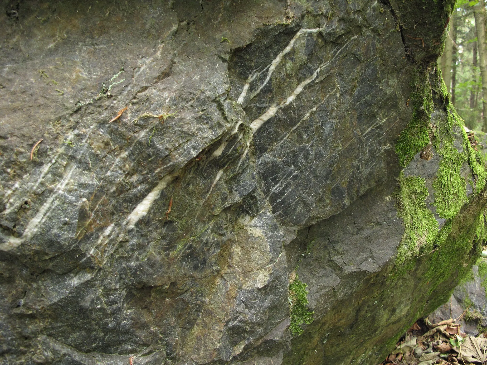 Photo showing: Přírodní památka Loupensko. Okres Klatovy, Česká republika.