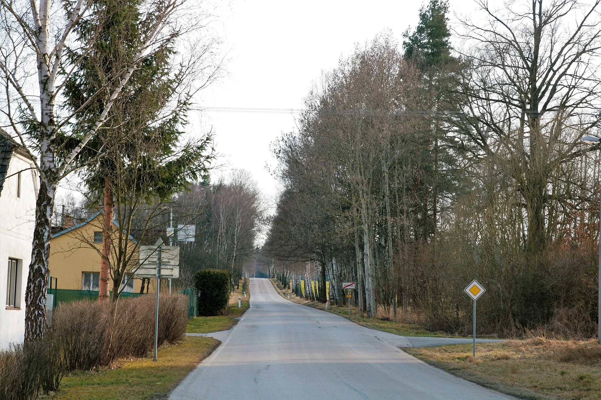 Photo showing: Vesnice Petrovice, část obce Mladošovice v okrese České Budějovice. Průhled alejí podél silnice č. 155 vedoucí jihozápadním směrem do Vrcova a Borovan.