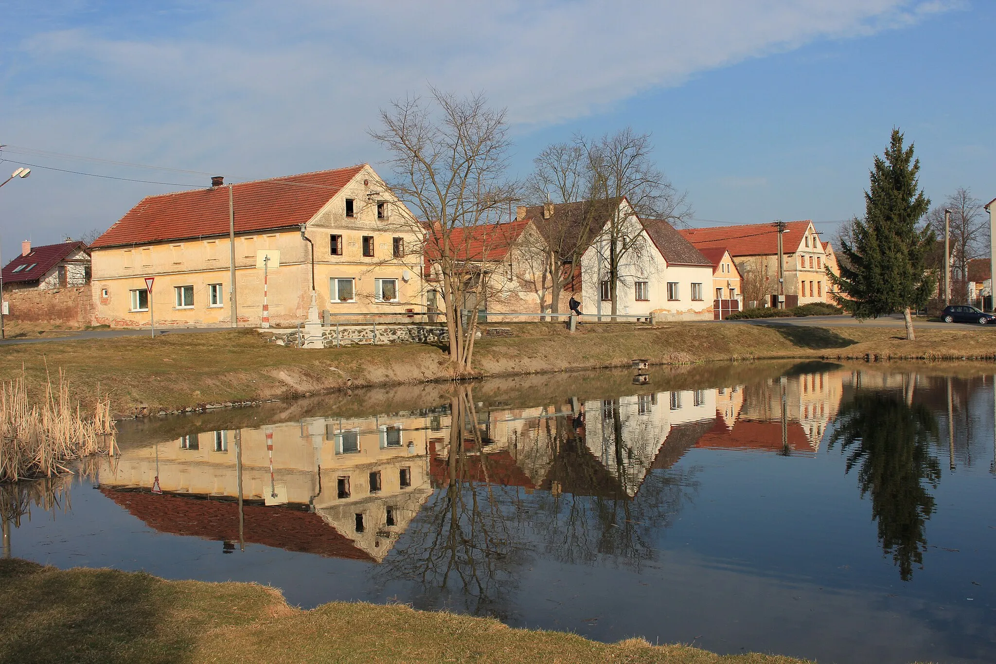 Photo showing: Common pond in Přehýšov, Czech Republic.