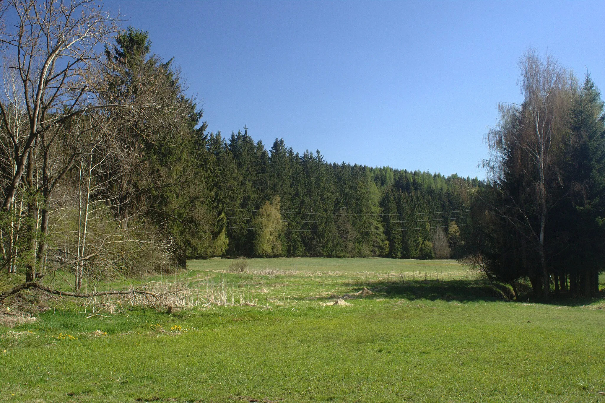 Photo showing: This photograph was created as a part of Wikiexpedition Mladá Vožice, a project supported by Wikimedia Foundation grant.
