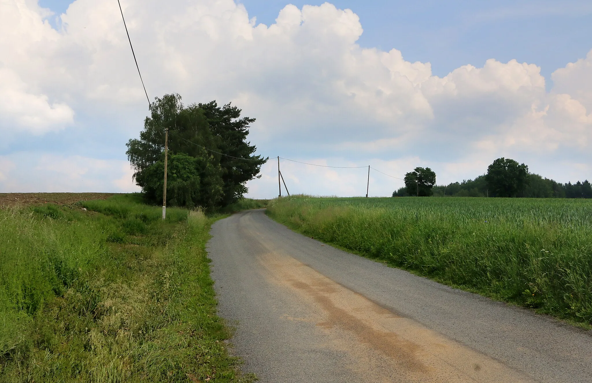 Photo showing: Road from Stan to Lestkov, Czech Republic.