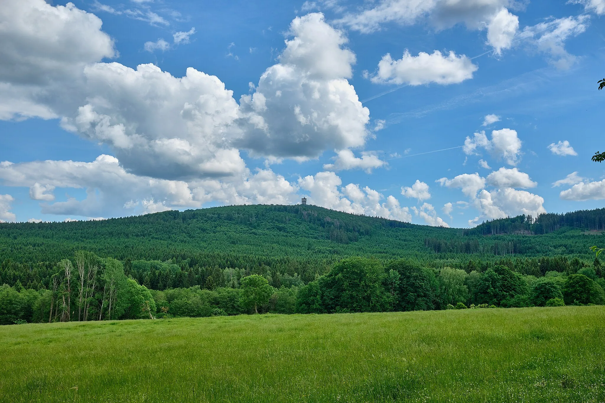 Photo showing: Velký Zvon, pohled od severozápadu, Český les, okres Domažlice