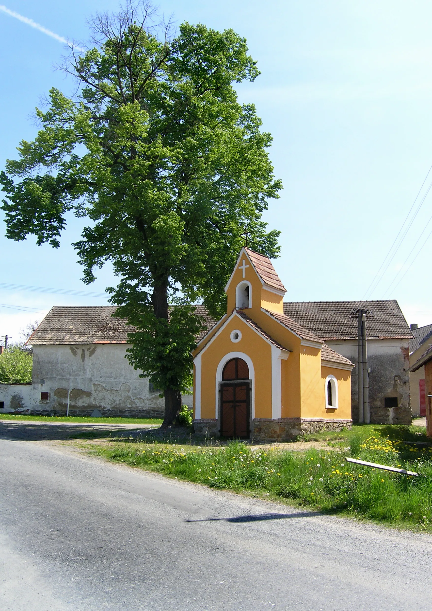 Photo showing: Common in Velké Heřmanice, part of Heřmaničky village, Czech Republic