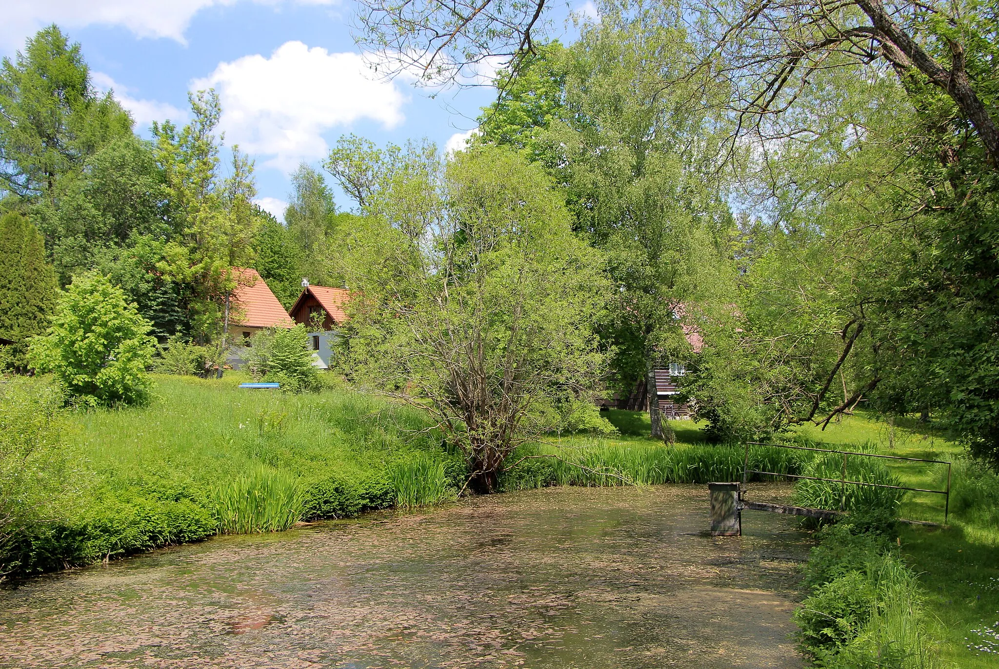 Photo showing: Common pond in Svatonina Lhota, part of Frymburk, Czech Republic.