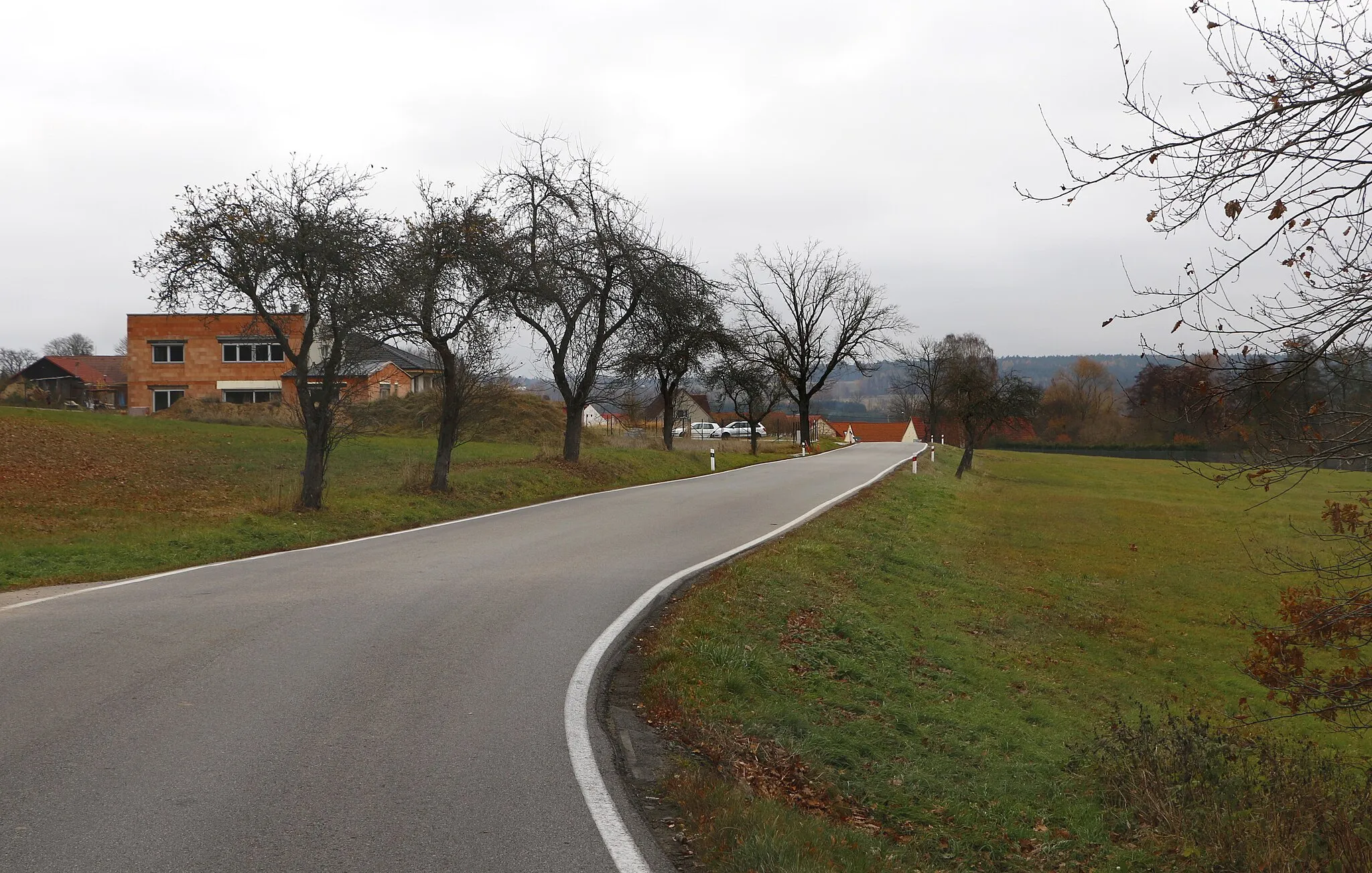 Photo showing: Road No 157 at Dvorec, part of Borovany, Czech Republic.