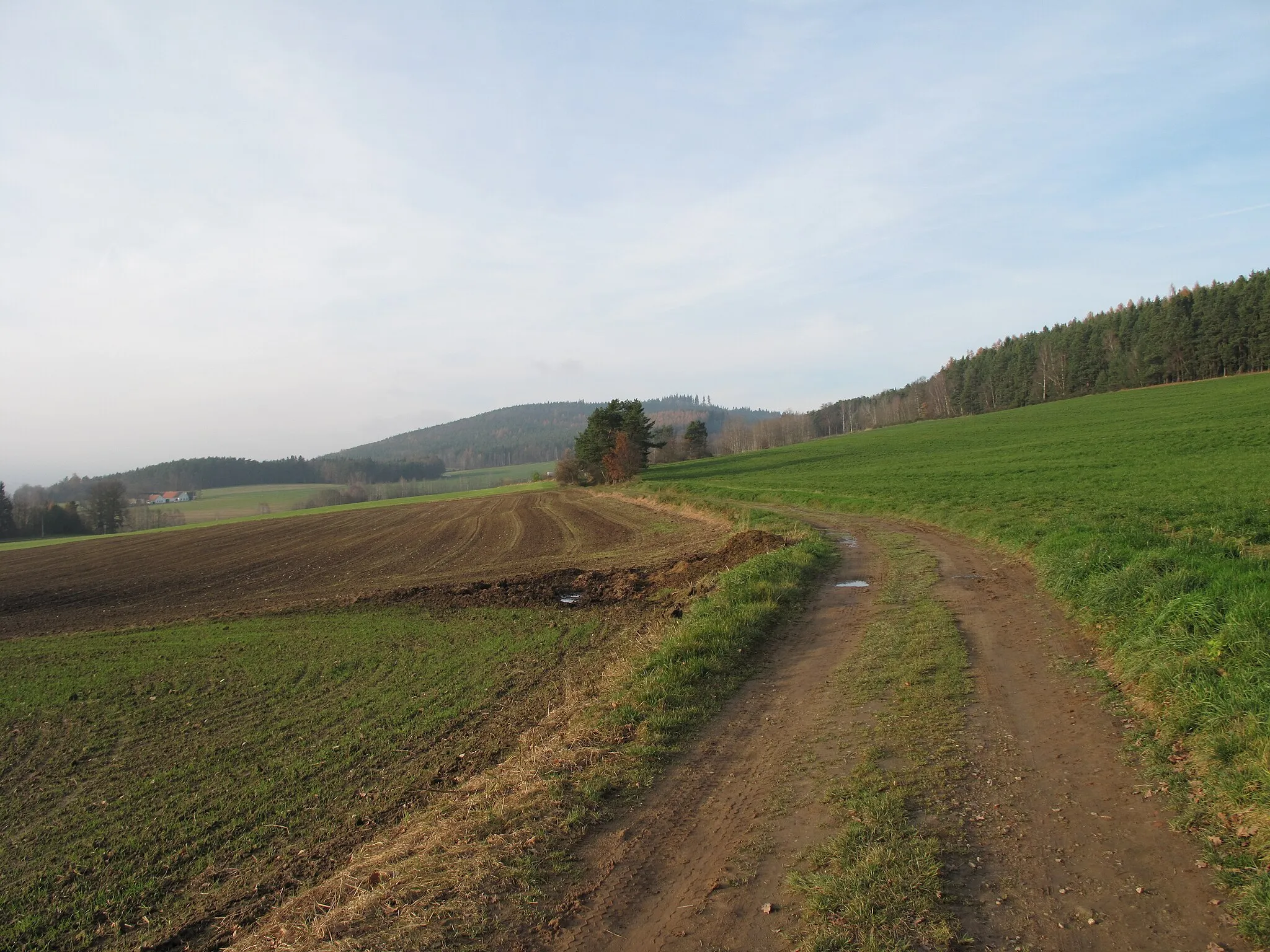 Photo showing: Wayin Bohouškovice. Český Krumlov District, Czech Republic.