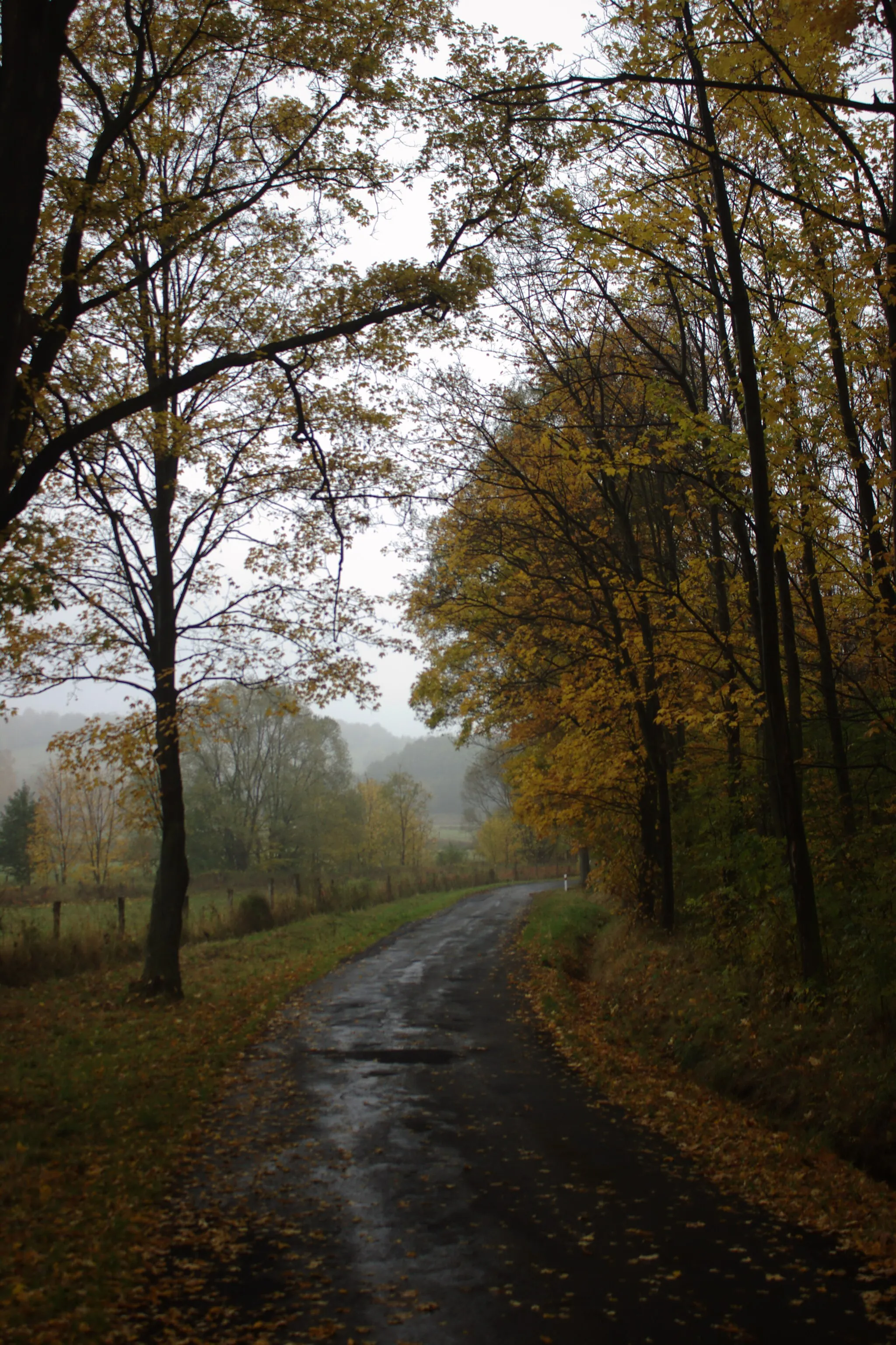 Photo showing: A road in the village of Burkvíz near Město Albrechtice, Moravian-Silesian Region, CZ