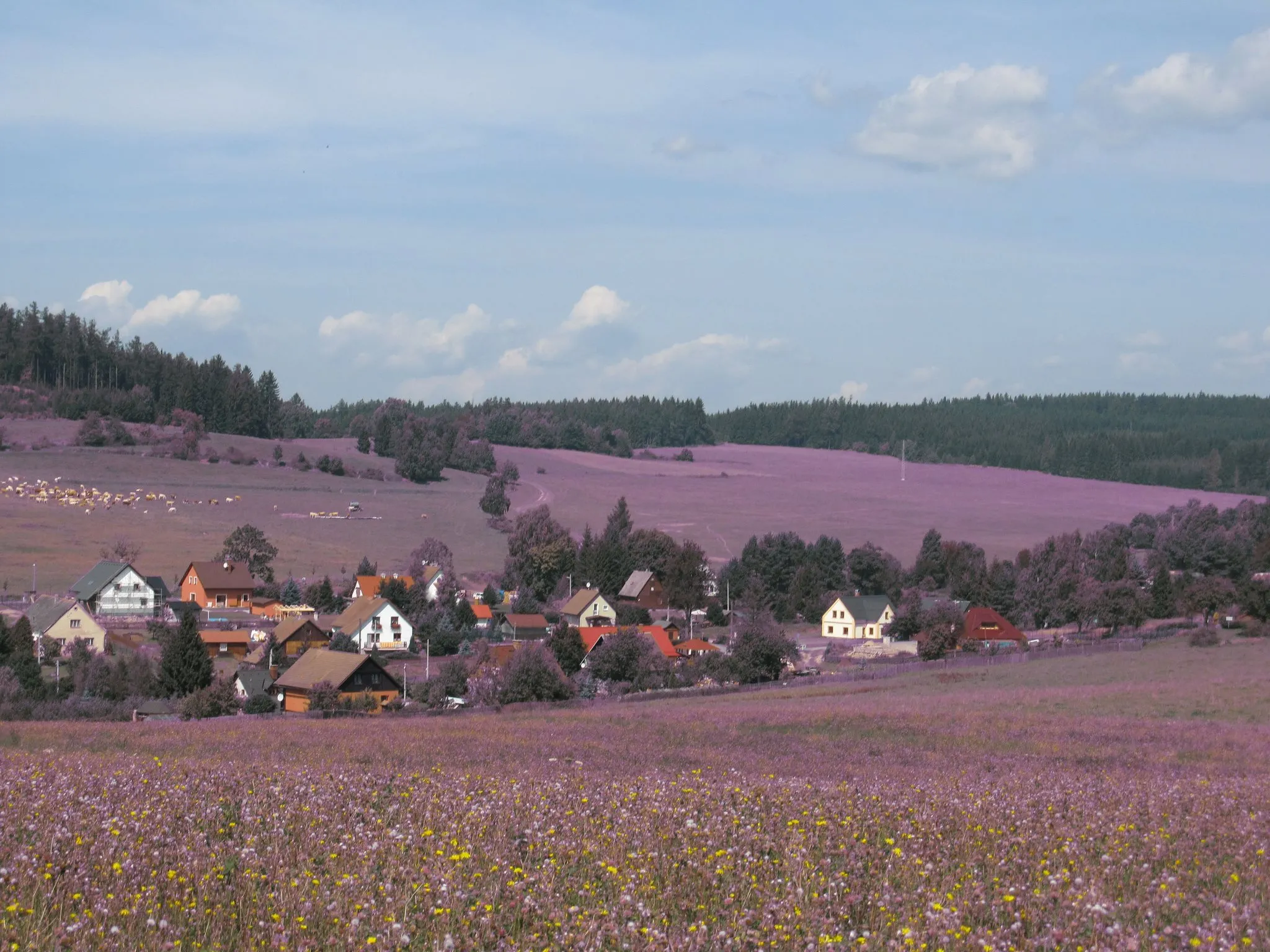 Photo showing: Obec Dlouhá Stráň