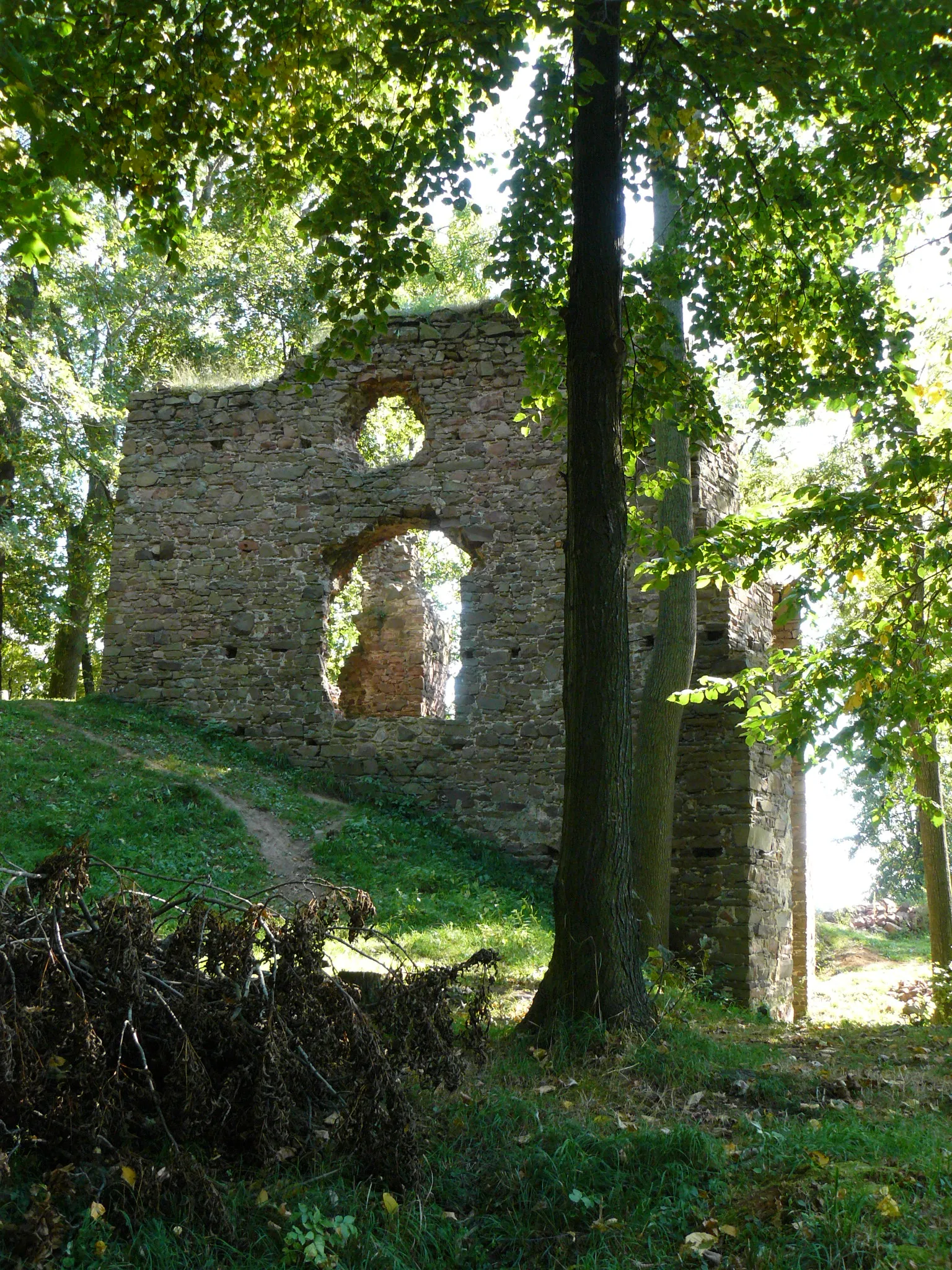Photo showing: Zřícenina hradu Fulštejn, Bohušov, okres Bruntál, Slezsko