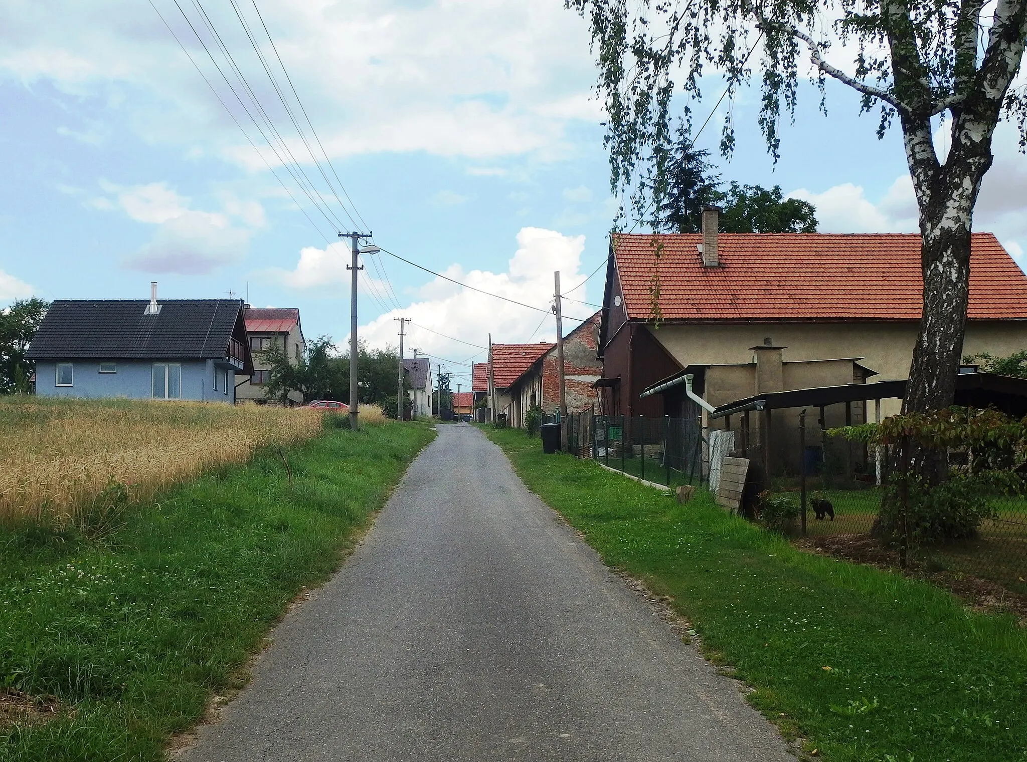 Photo showing: Fryčovice, Frýdek-Místek District, Czech Republic, part Ptáčník.