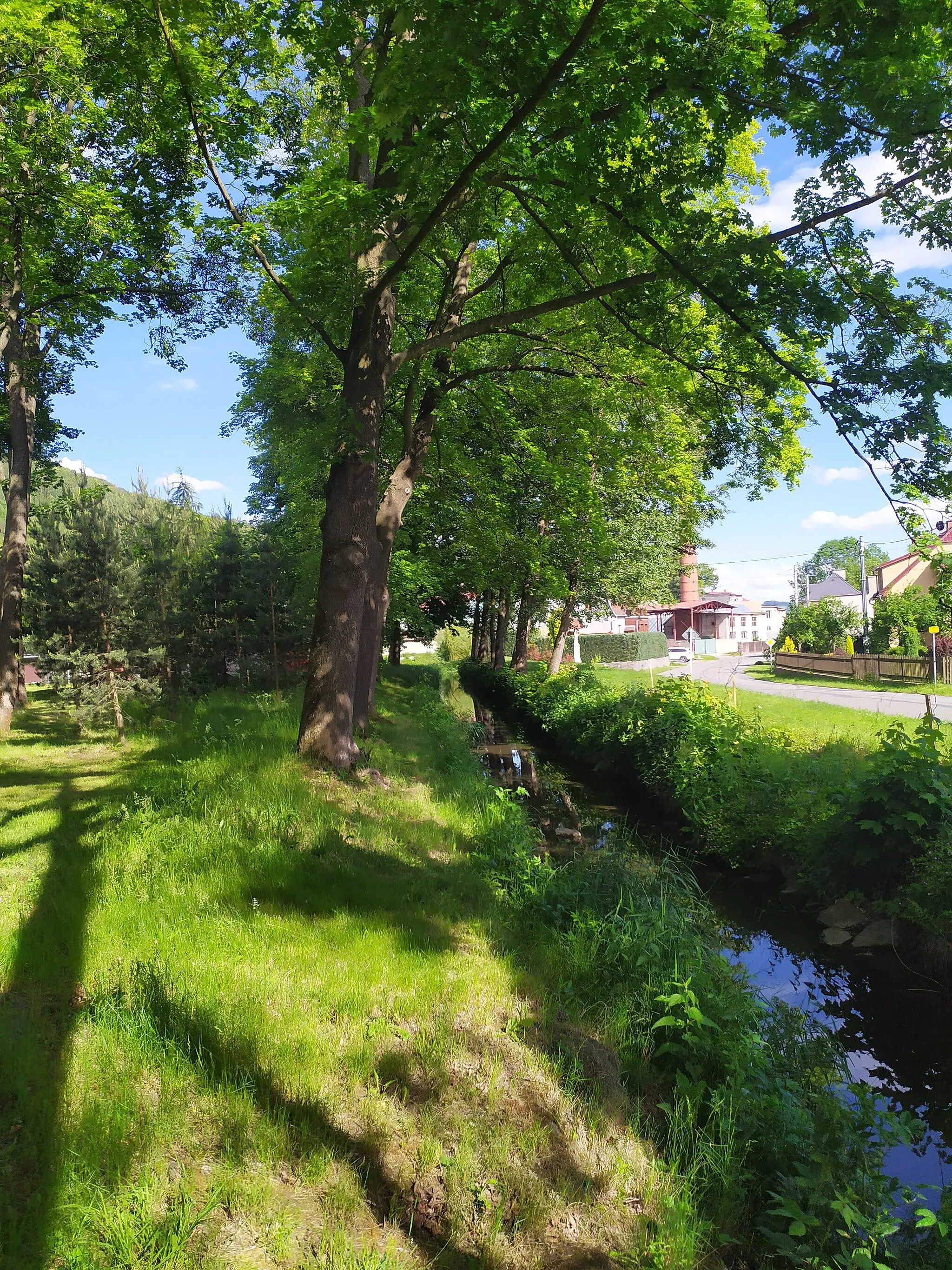 Photo showing: Mlýnský náhon v Jakubčovicích nad Odrou