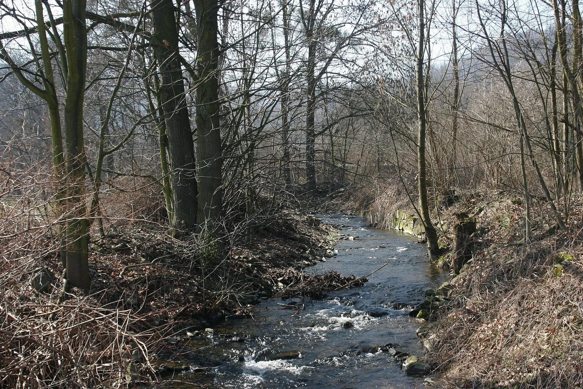 Photo showing: Řeka Odra protékající nedaleko obce Jakubčovice nad Odrou, poblíž Oder.