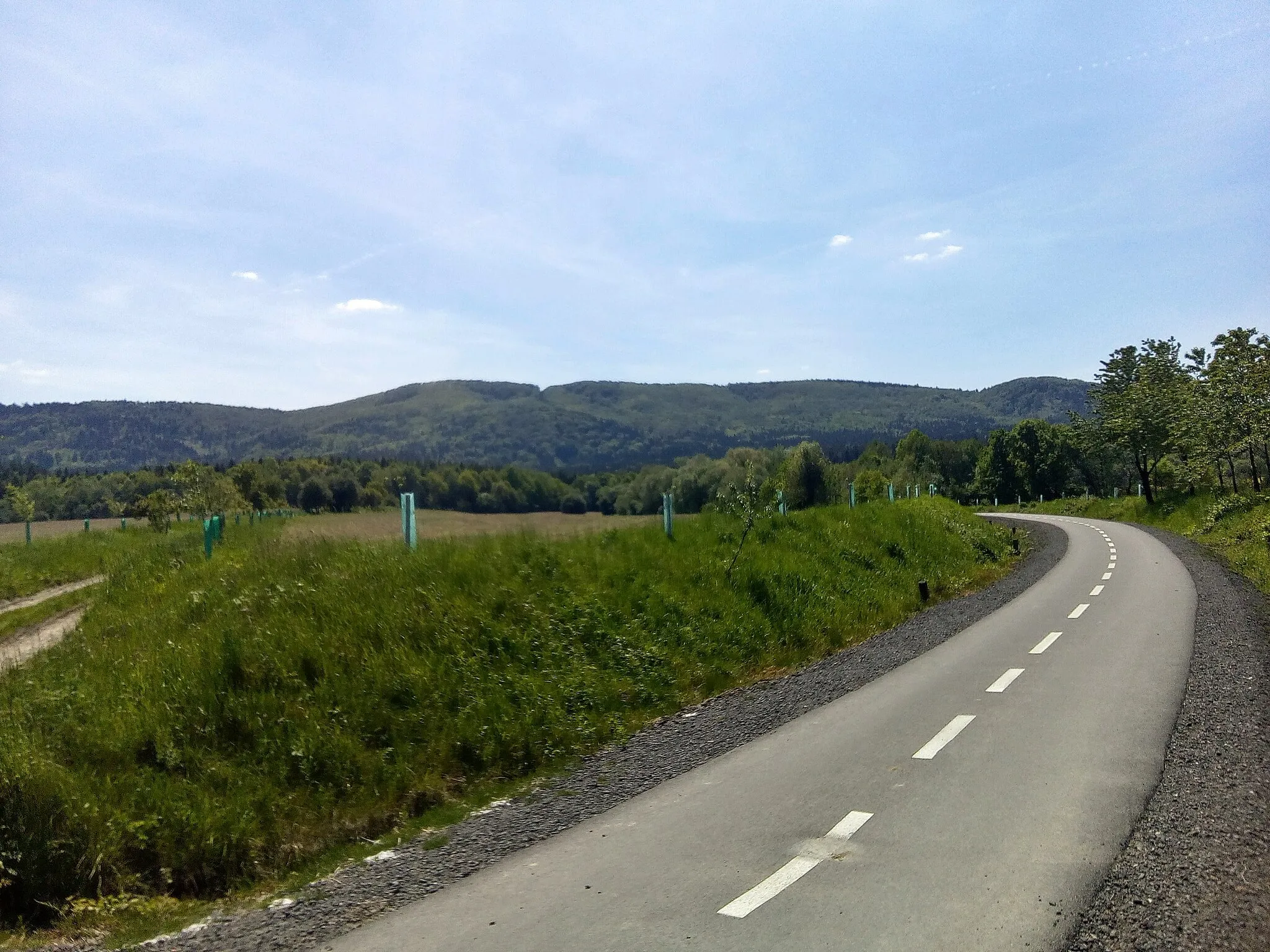 Photo showing: 742 71 Hodslavice, Czech Republic