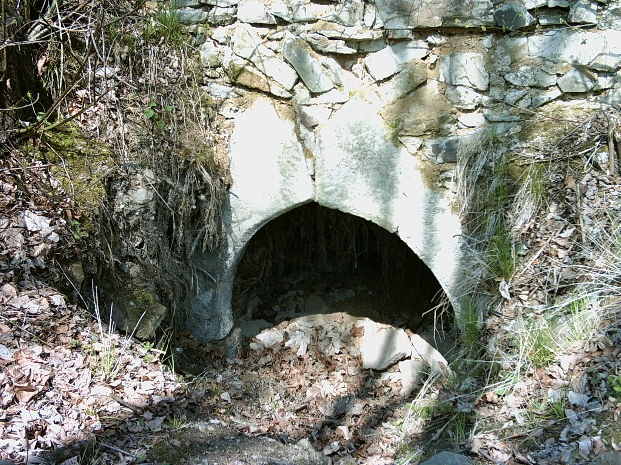 Photo showing: Ruins of castle Vartnov