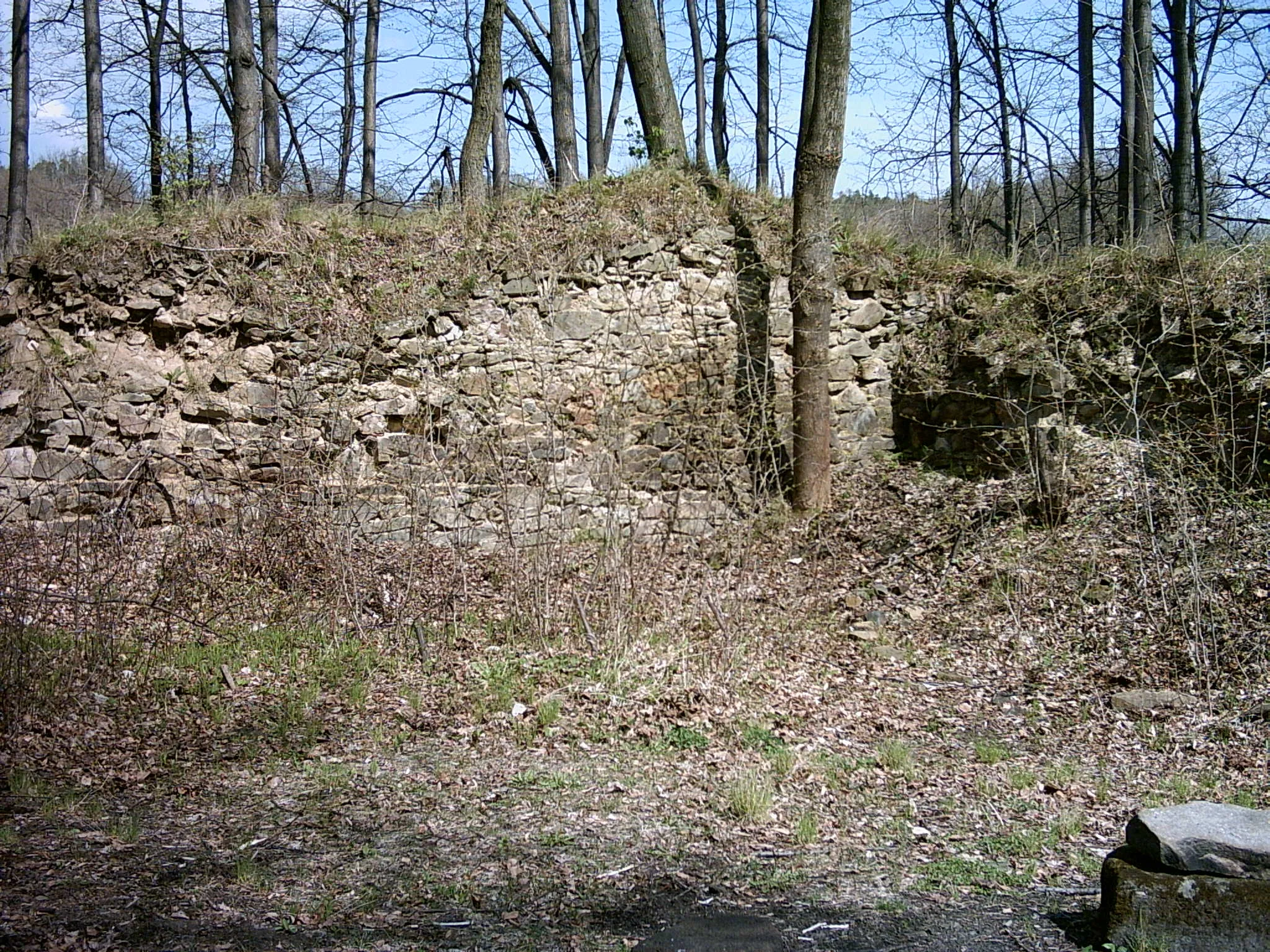 Photo showing: Ruins of castle Vartnov