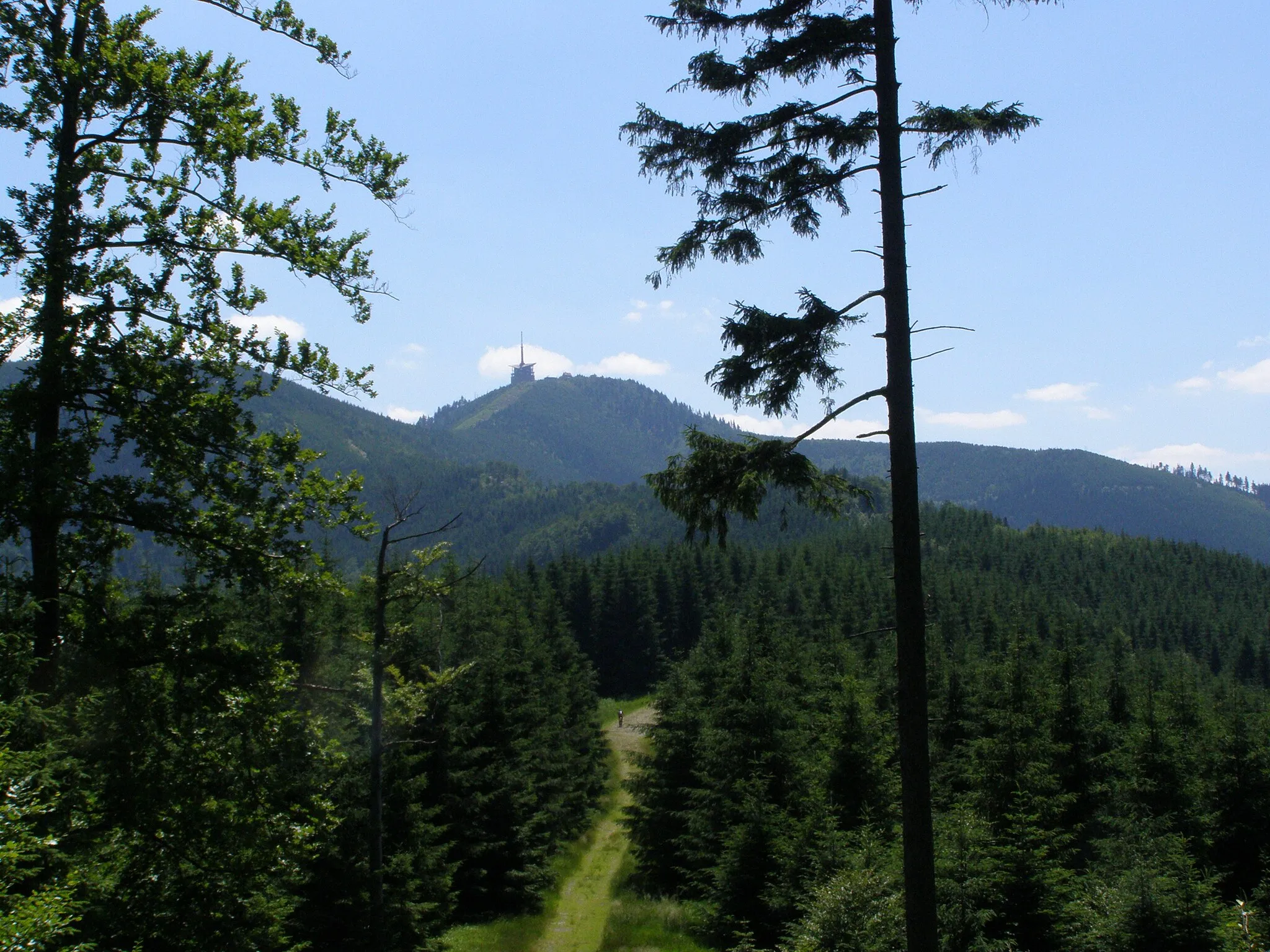 Photo showing: Moravskoslezské Beskydy, Lysohorská rozsocha, pohled z vrcholu Kykulka na jih (Lysou horu)