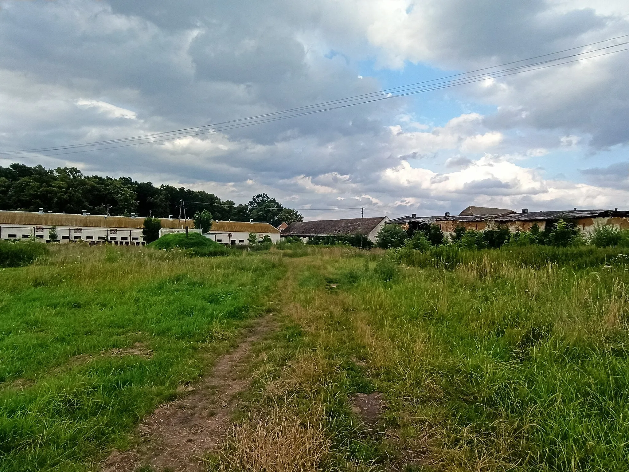 Photo showing: Dobroszewice – osada położona w województwie opolskim, w powiecie prudnickim, w gminie Lubrza, wchodząca w skład sołectwa Prężynka.