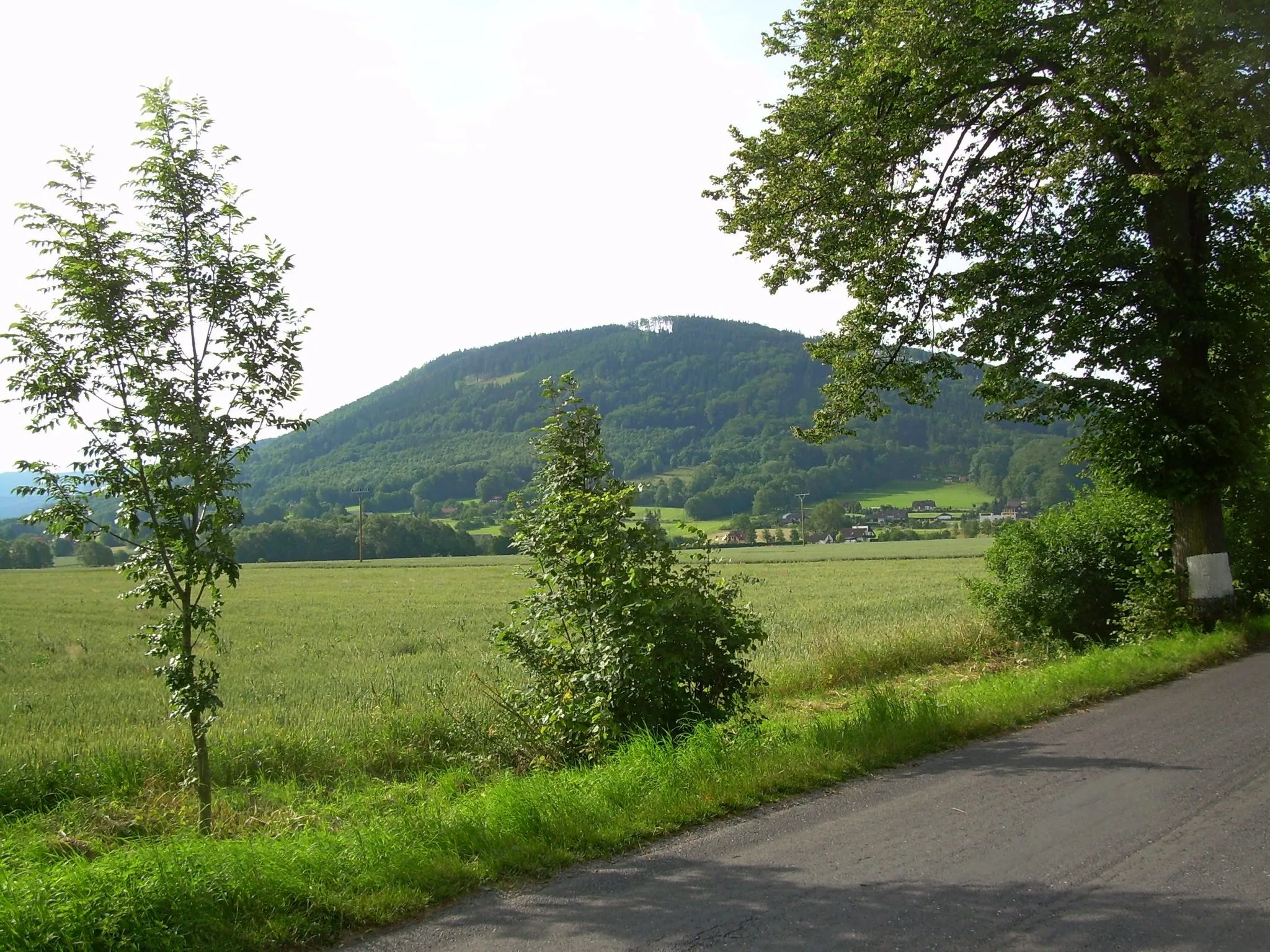 Photo showing: Hora Godula (737 m) pohledem ze silnice z Hnojníka do Komorní Lhotky