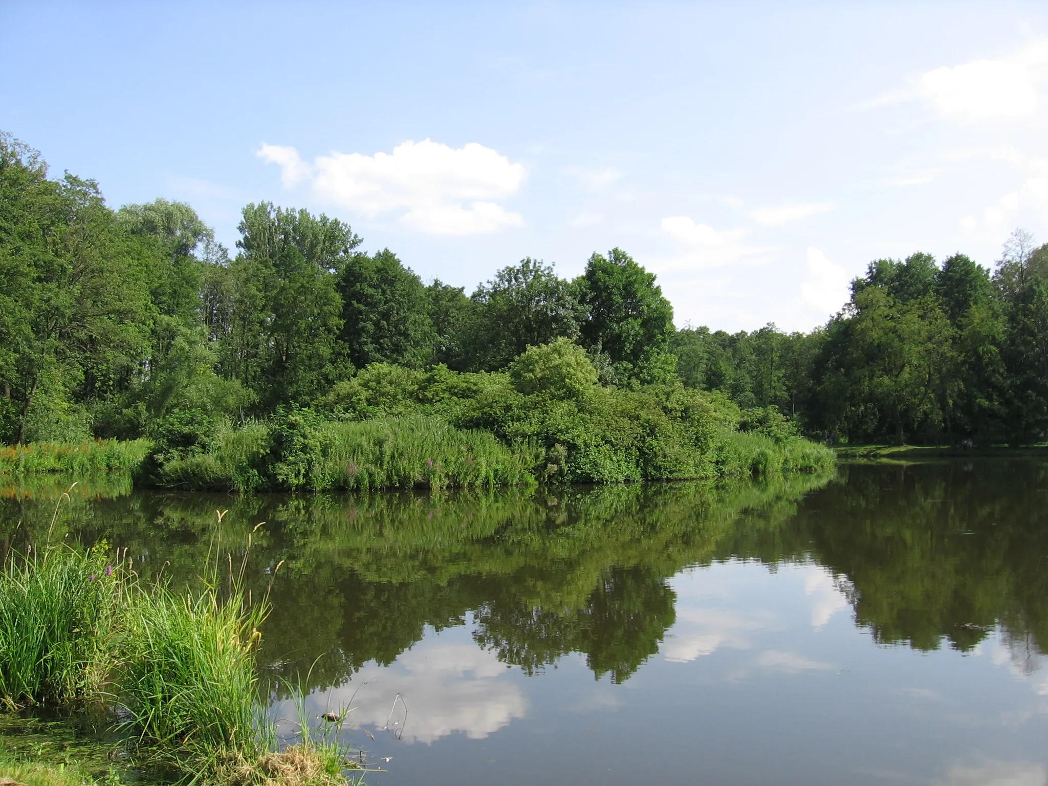 Photo showing: Jeden z trzech stawów w Wieszczynie, Góry Opawskie