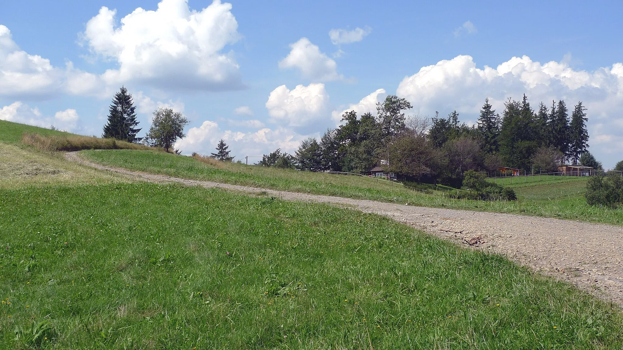 Photo showing: Filipka meadow in Silesian Beskids, Nýdek, Czech Republic
