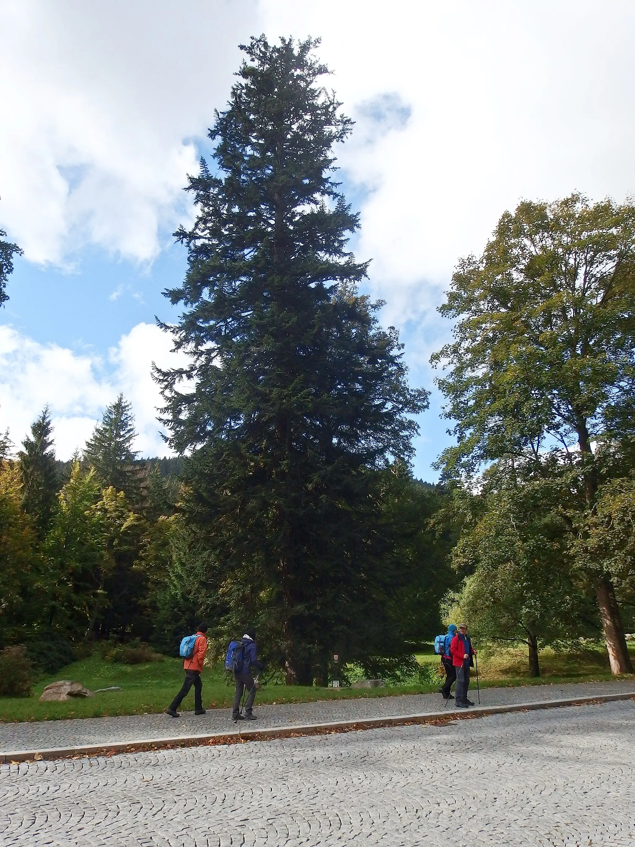 Photo showing: Karlova Studánka, Bruntál District, spa in the Czech Republic.