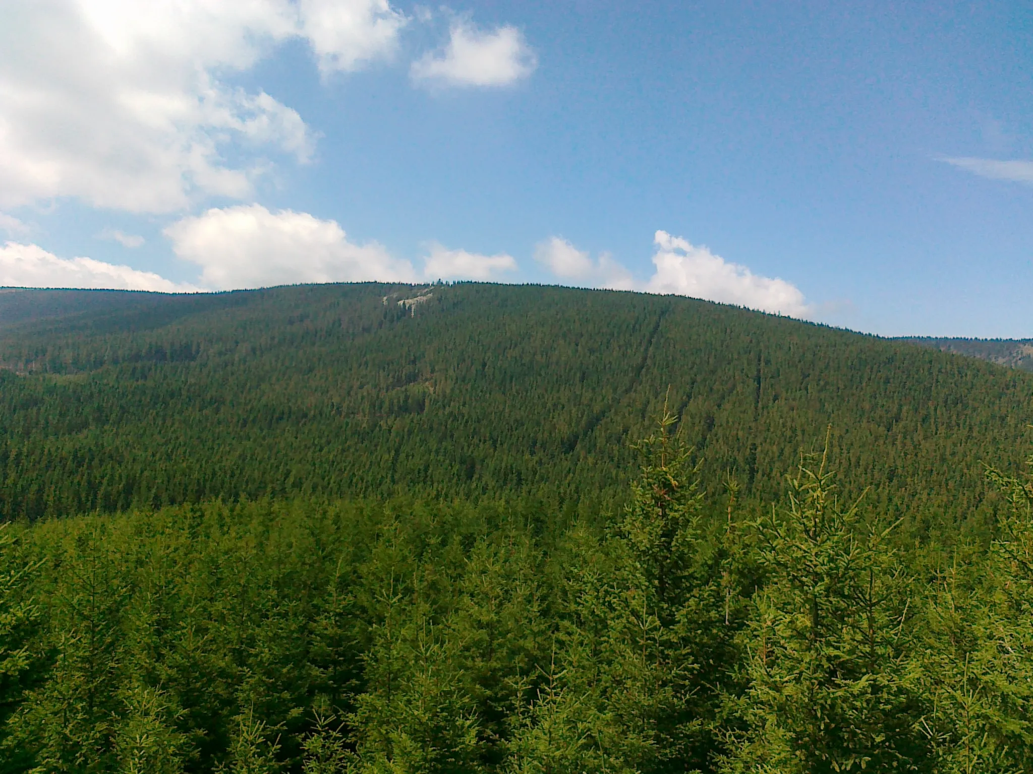 Photo showing: Widok ze skaliska blisko szczytu Hradečná na Suť (kamienne morze) na stoku góry Vysoká hole