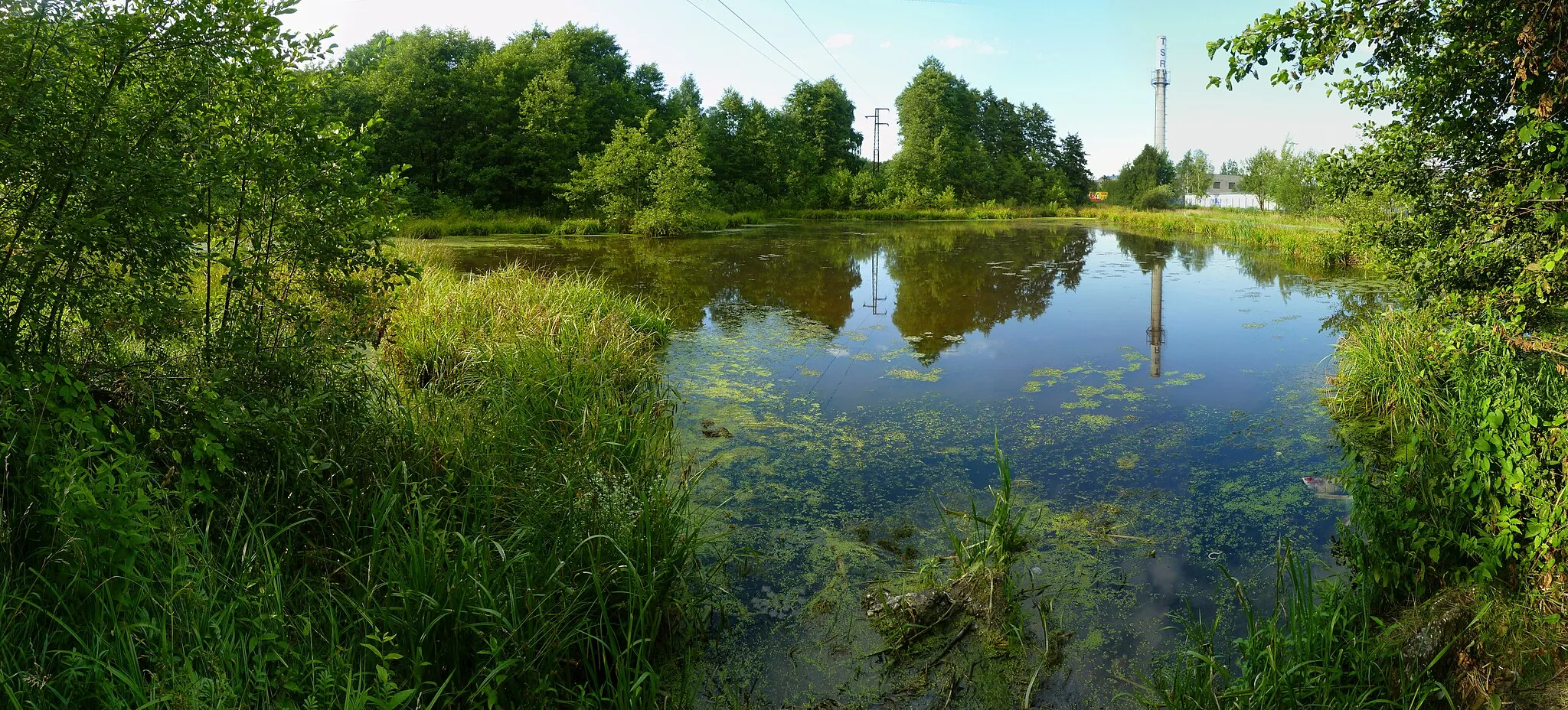 Photo showing: Nature reserve Přemyšov. Ostrava-city District, Moravian-Silesian Region, Czech Republic