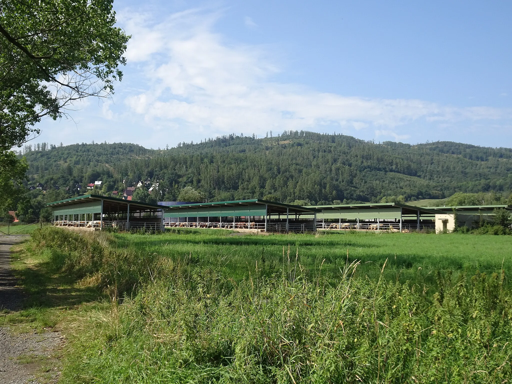 Photo showing: Město Albrechtice, Bruntál District, Czechia.