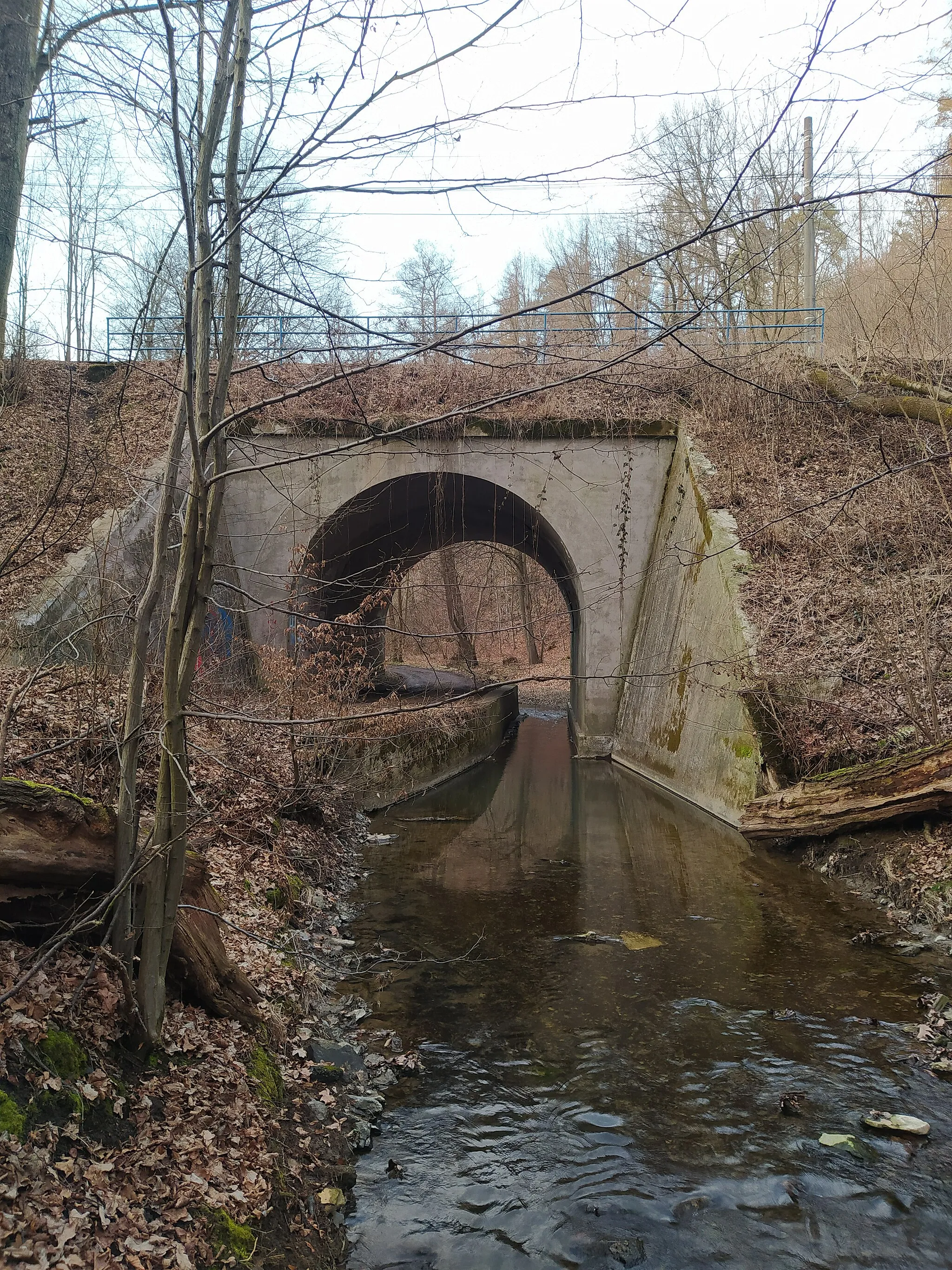 Photo showing: Mešnice creek, Bridge, Tram railroad, Dolní Lhota, Czech Republic