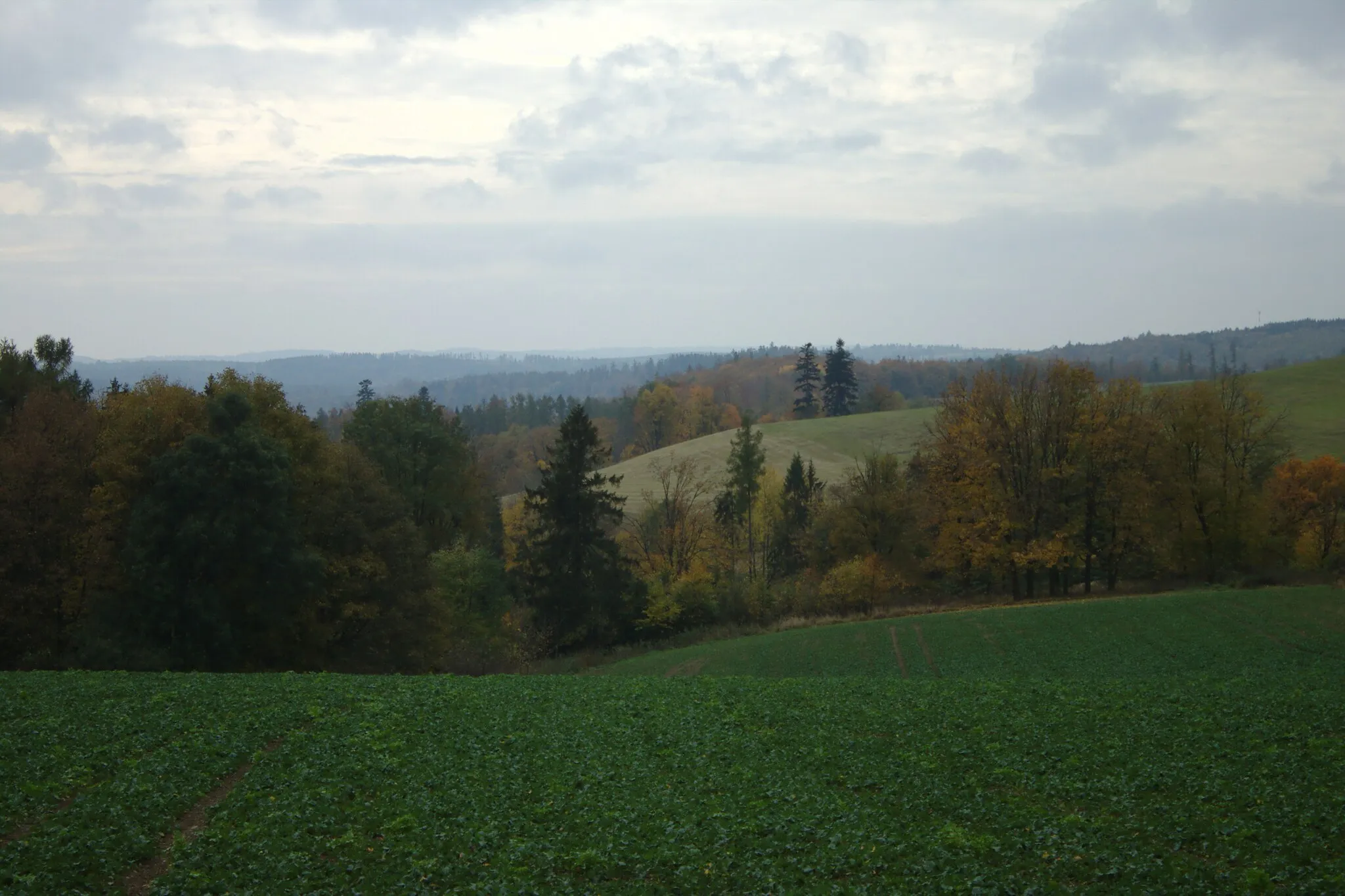 Photo showing: Countryside near the villgae of Moravice, Moravian-Silesian Region, CZ