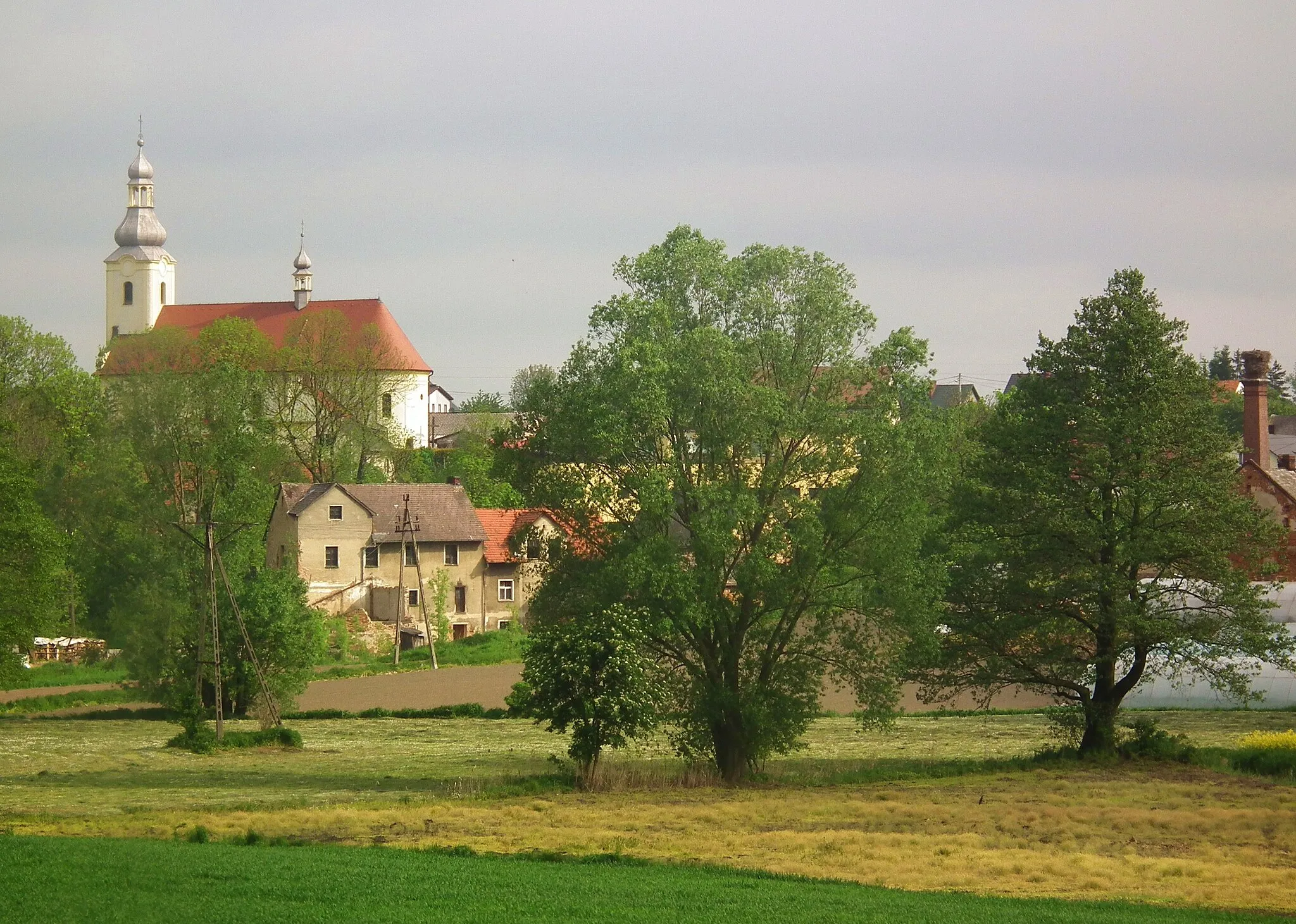 Photo showing: Wieś Tłustomosty koło Baborowa.