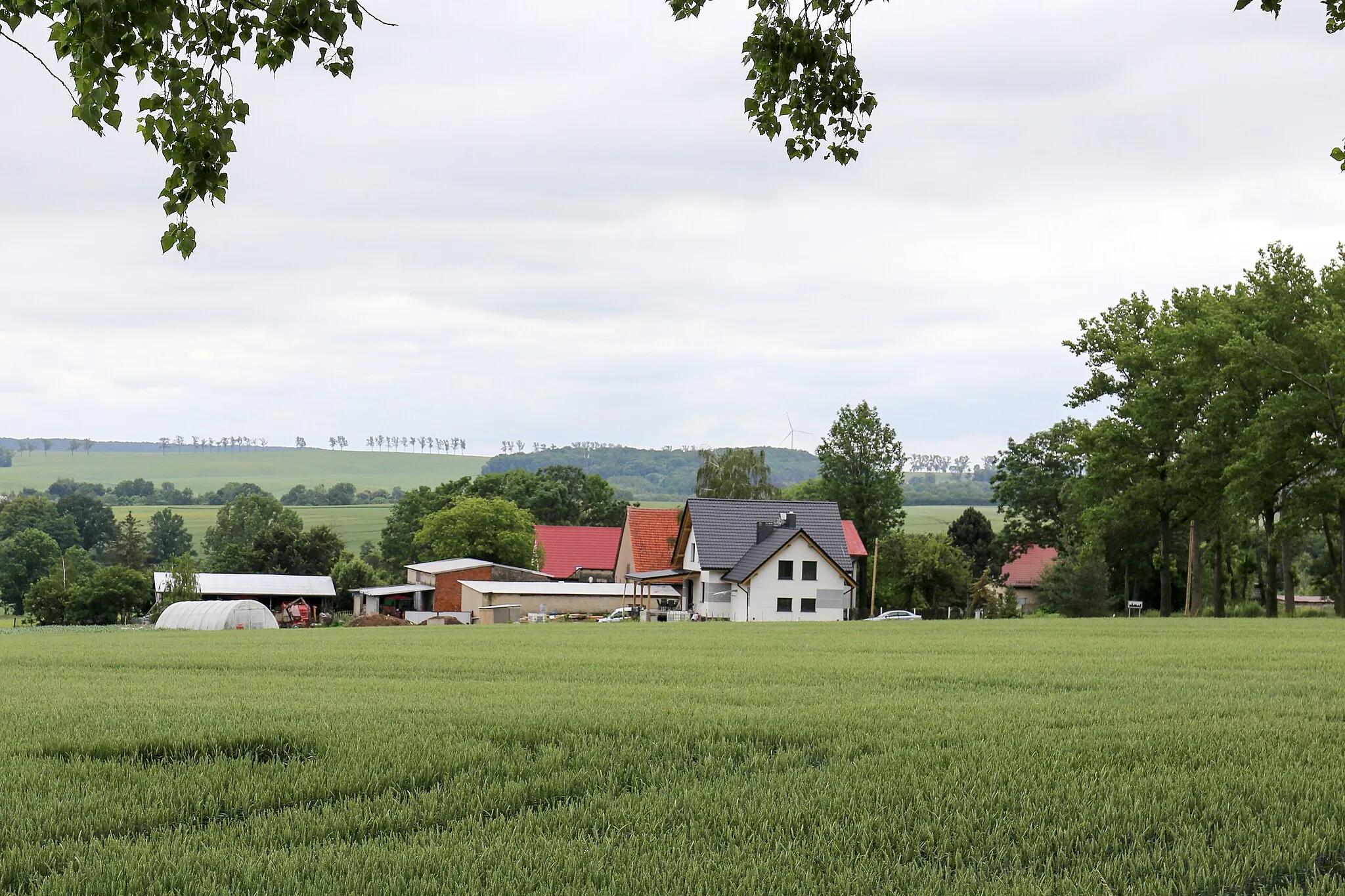 Photo showing: Gniewkowice - wieś w Polsce położona w województwie opolskim, w powiecie głubczyckim, w gminie Kietrz.