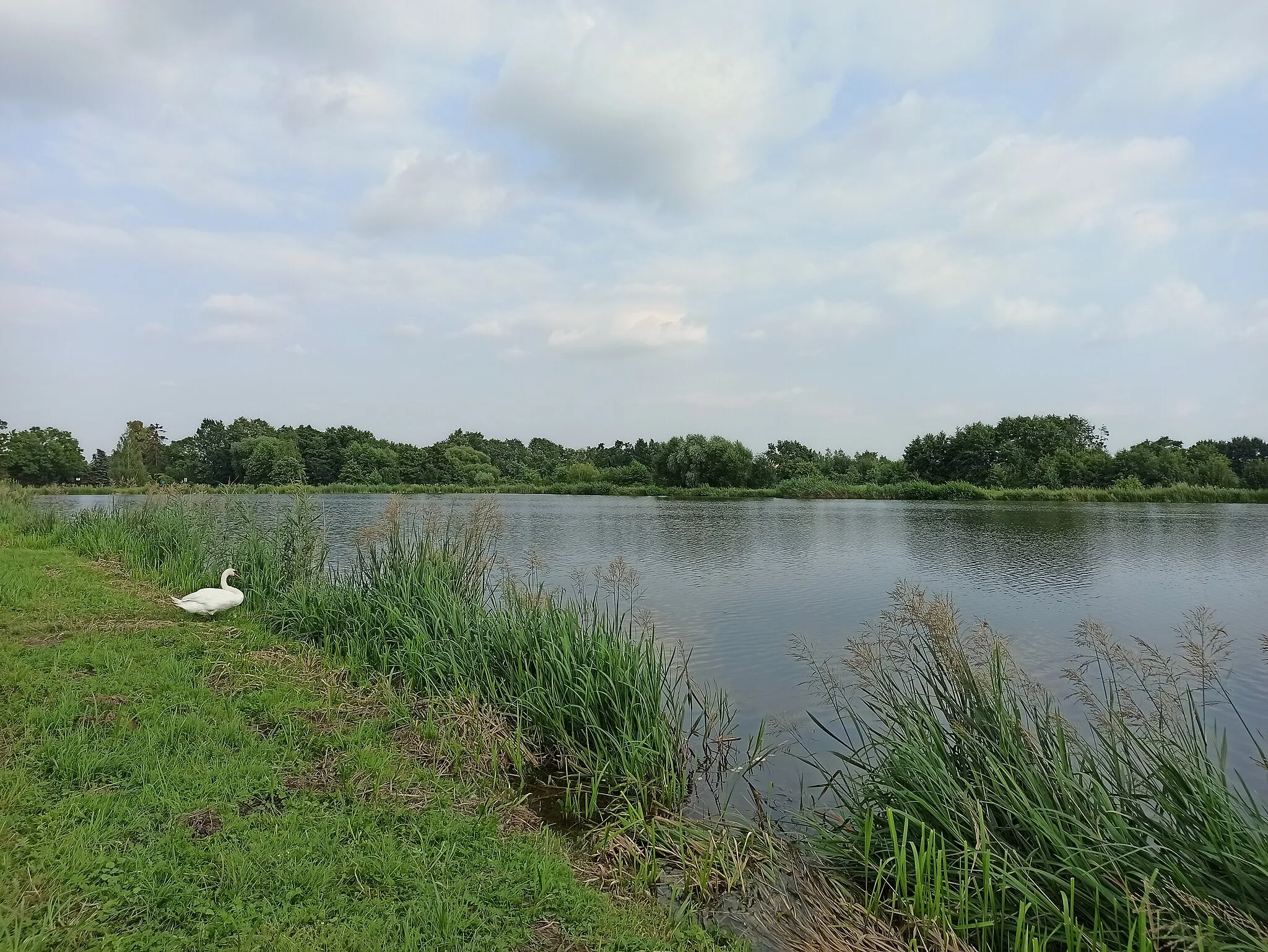 Photo showing: Pond in Niemysłowice, Poland.