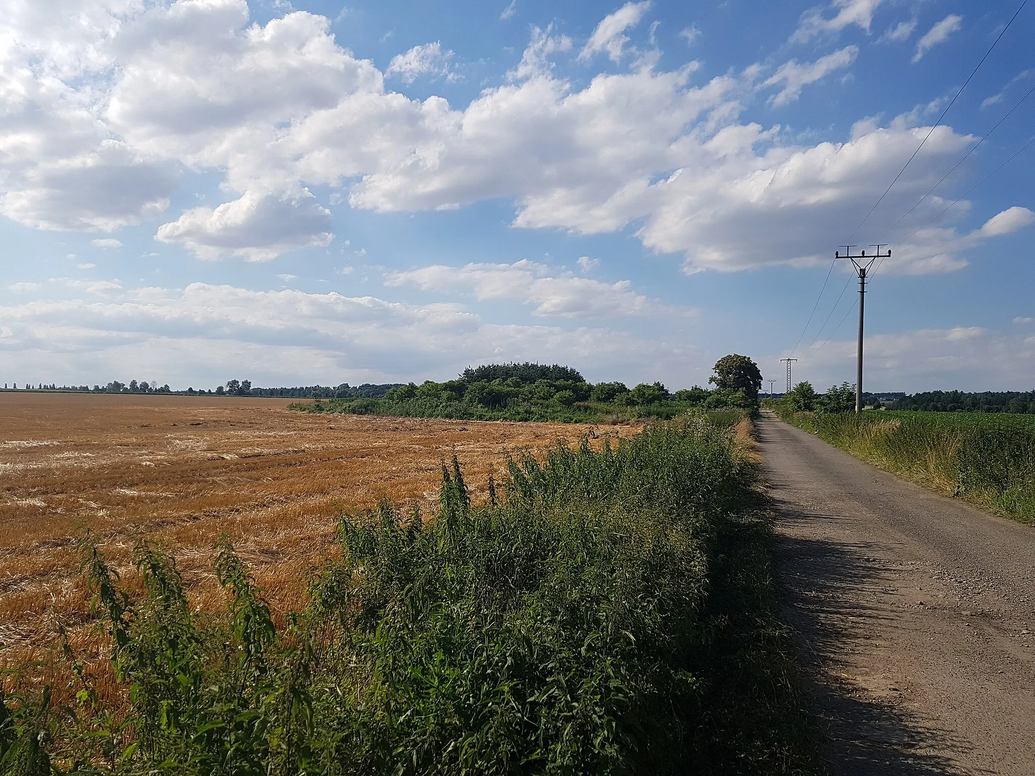 Photo showing: Site of a former Dolní Benešov Airfield (2020)
