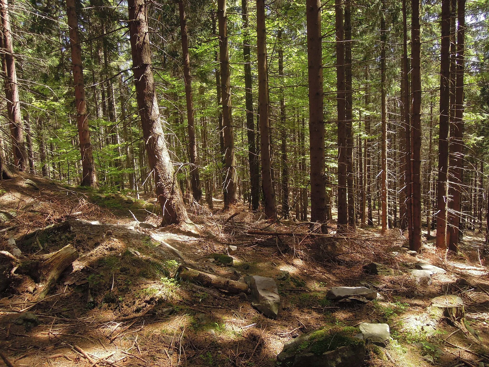 Photo showing: Kladnatá - Grapy natural monument in Horní Bečva, Vsetín District, Zlín Region, Czech Republic