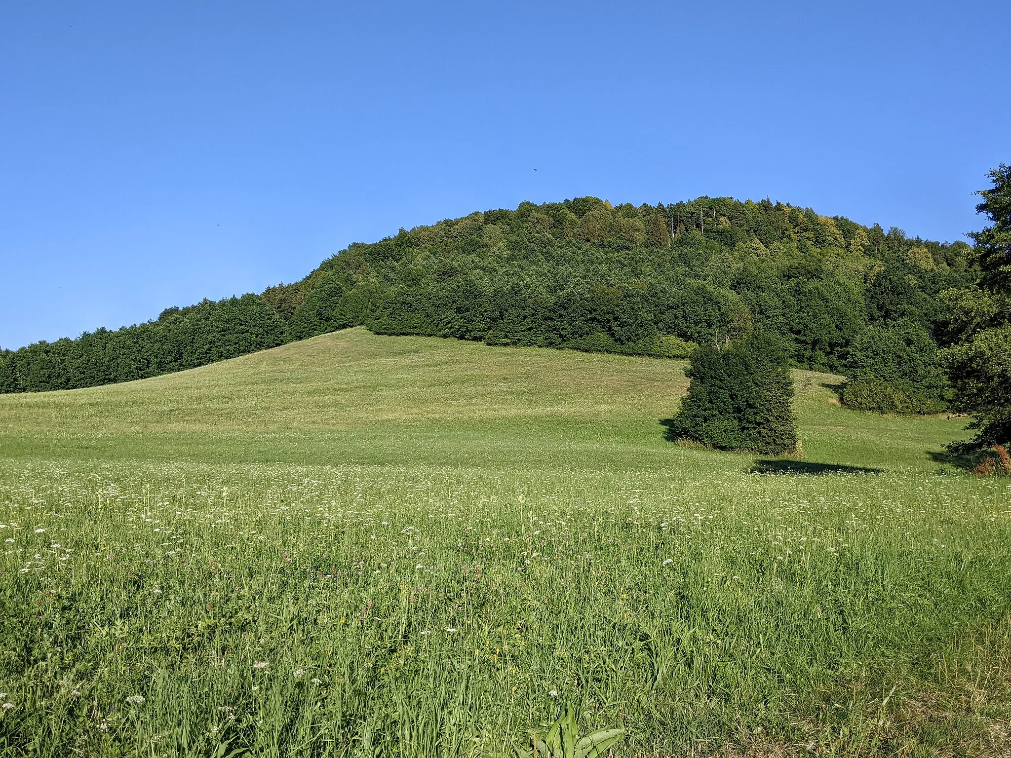 Photo showing: PP Pod Požahou (na Novojičínsku) v červenci 2022