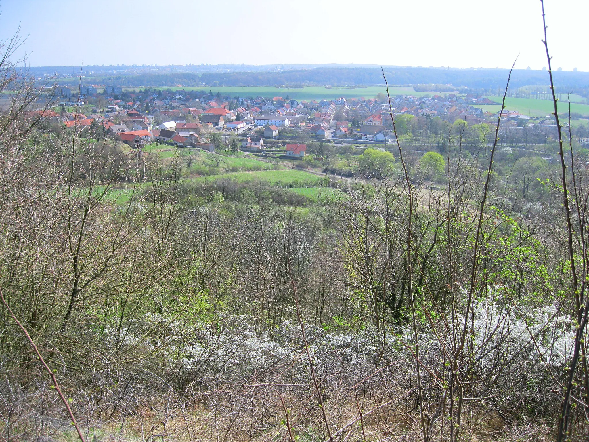 Photo showing: Pohled na vesnici Vinařice